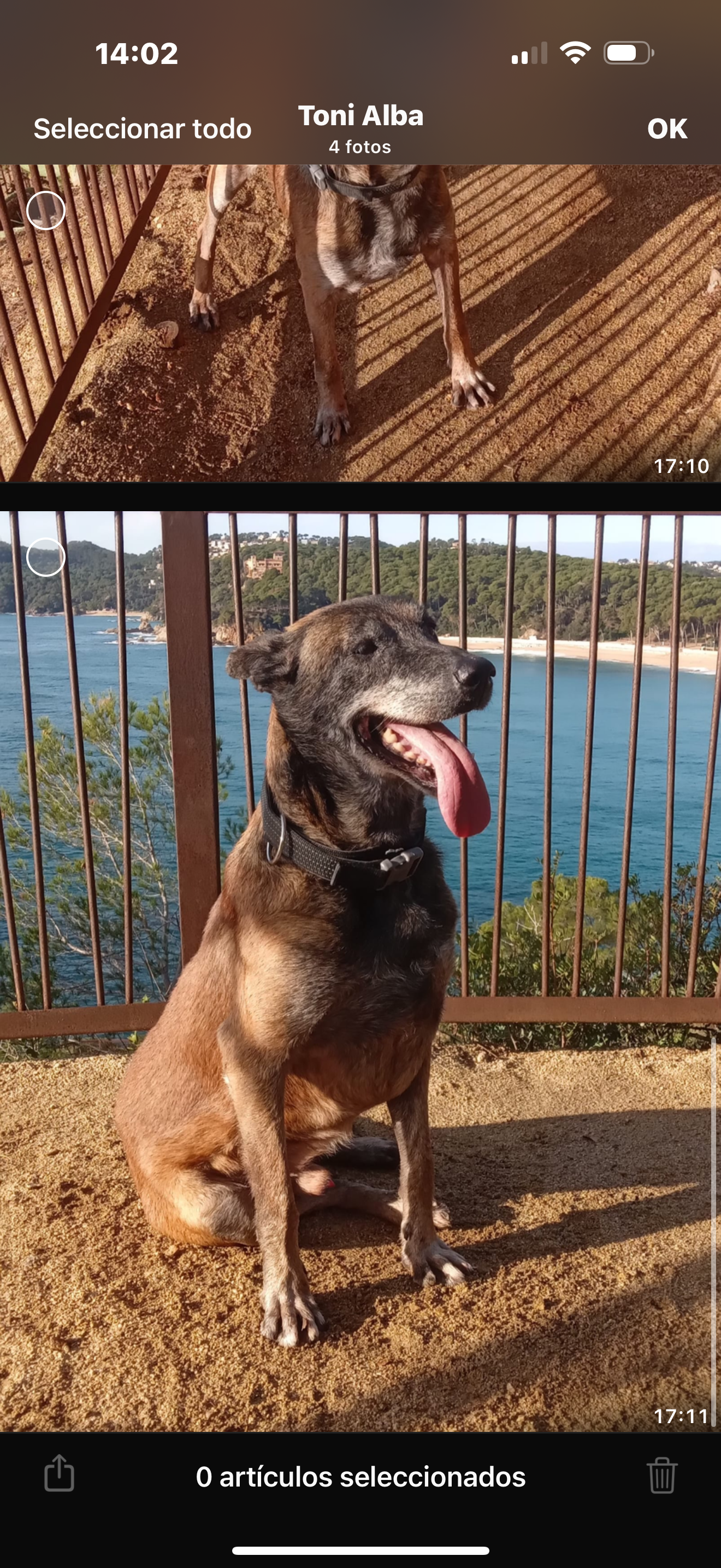 Simba - Carrer Lloret de Mar, Tordera