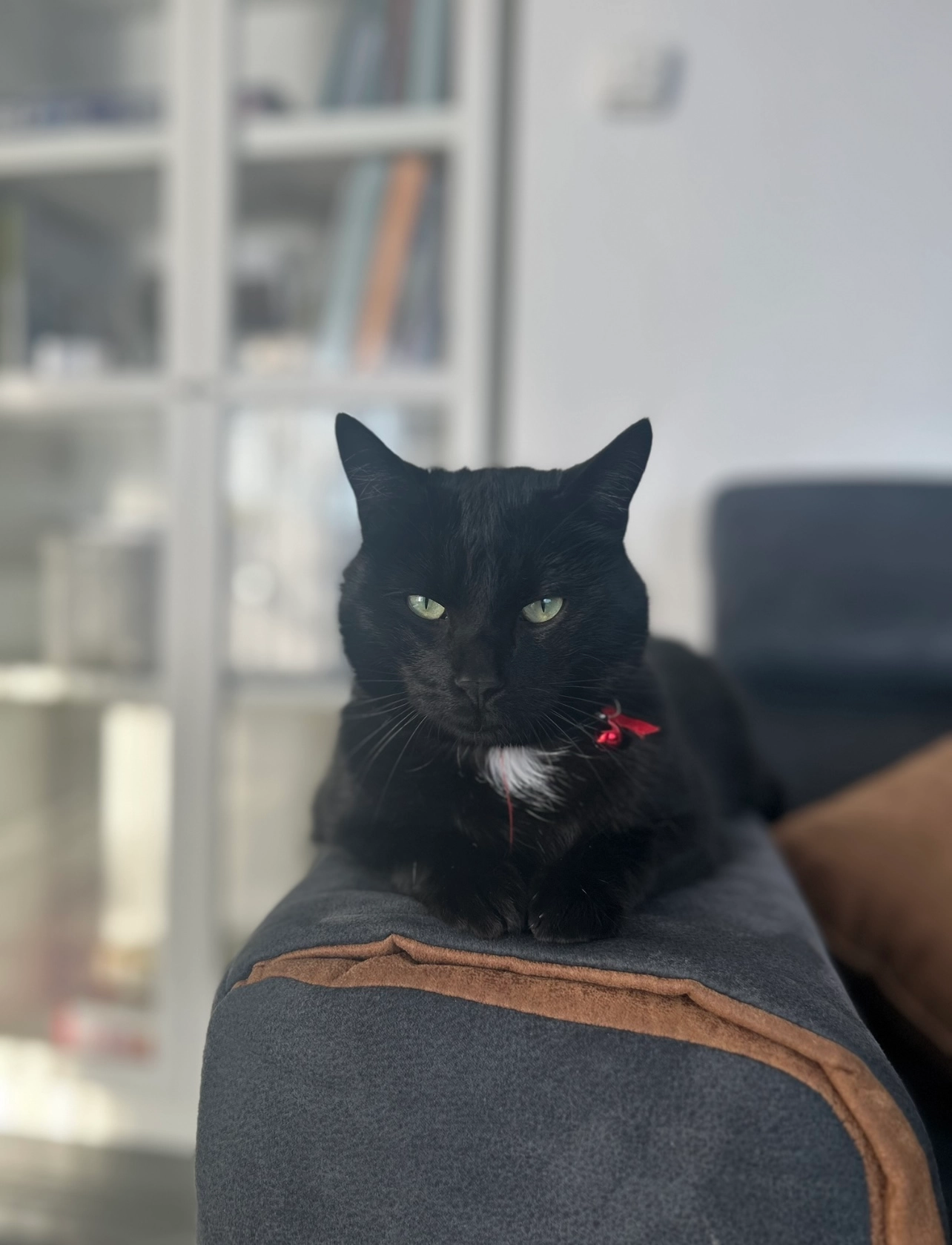 Minosh - Goedheidstraat, Oostende