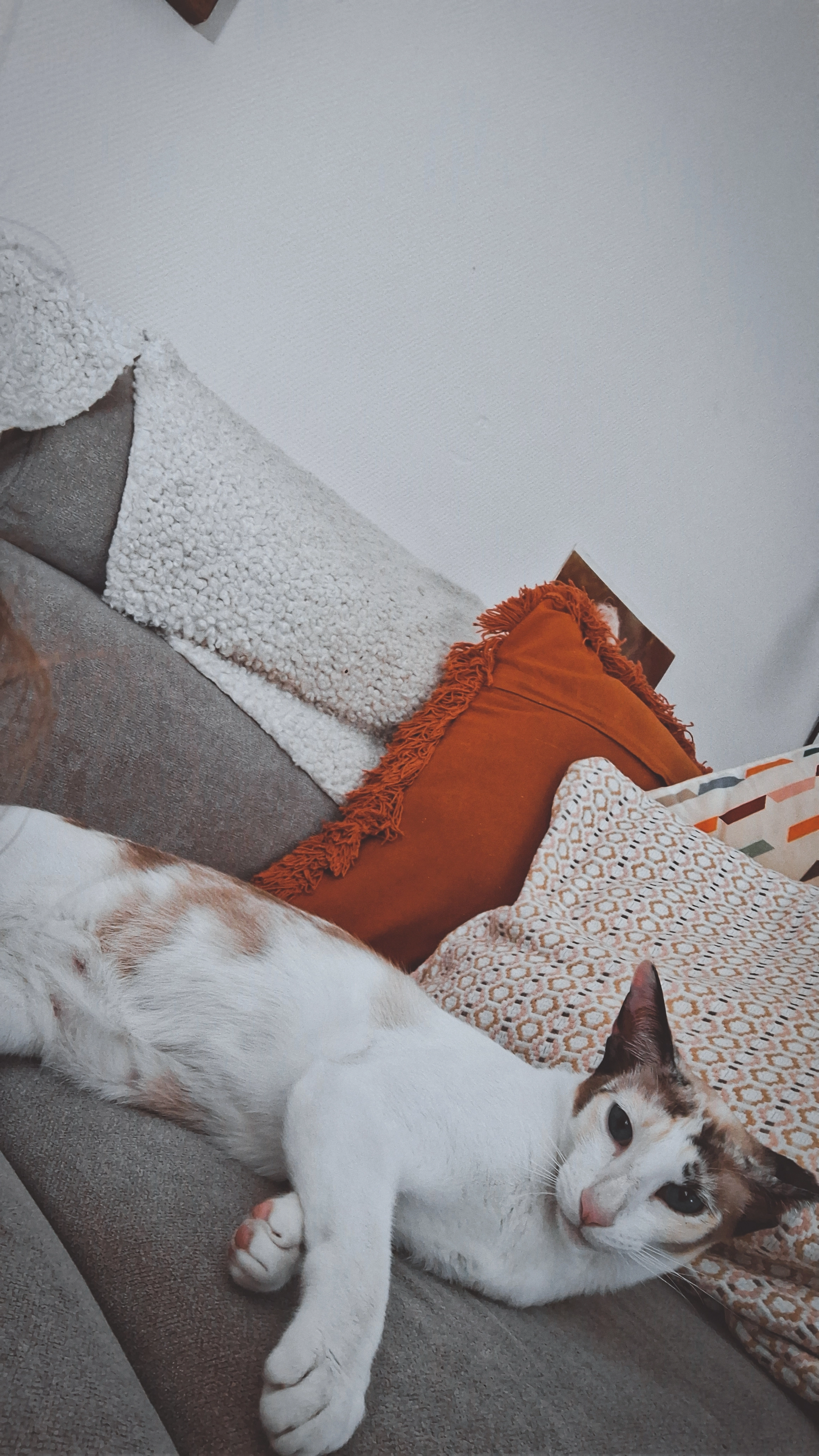 BIANCA - Rue Saint-Armel, Les Sables-d'Olonne