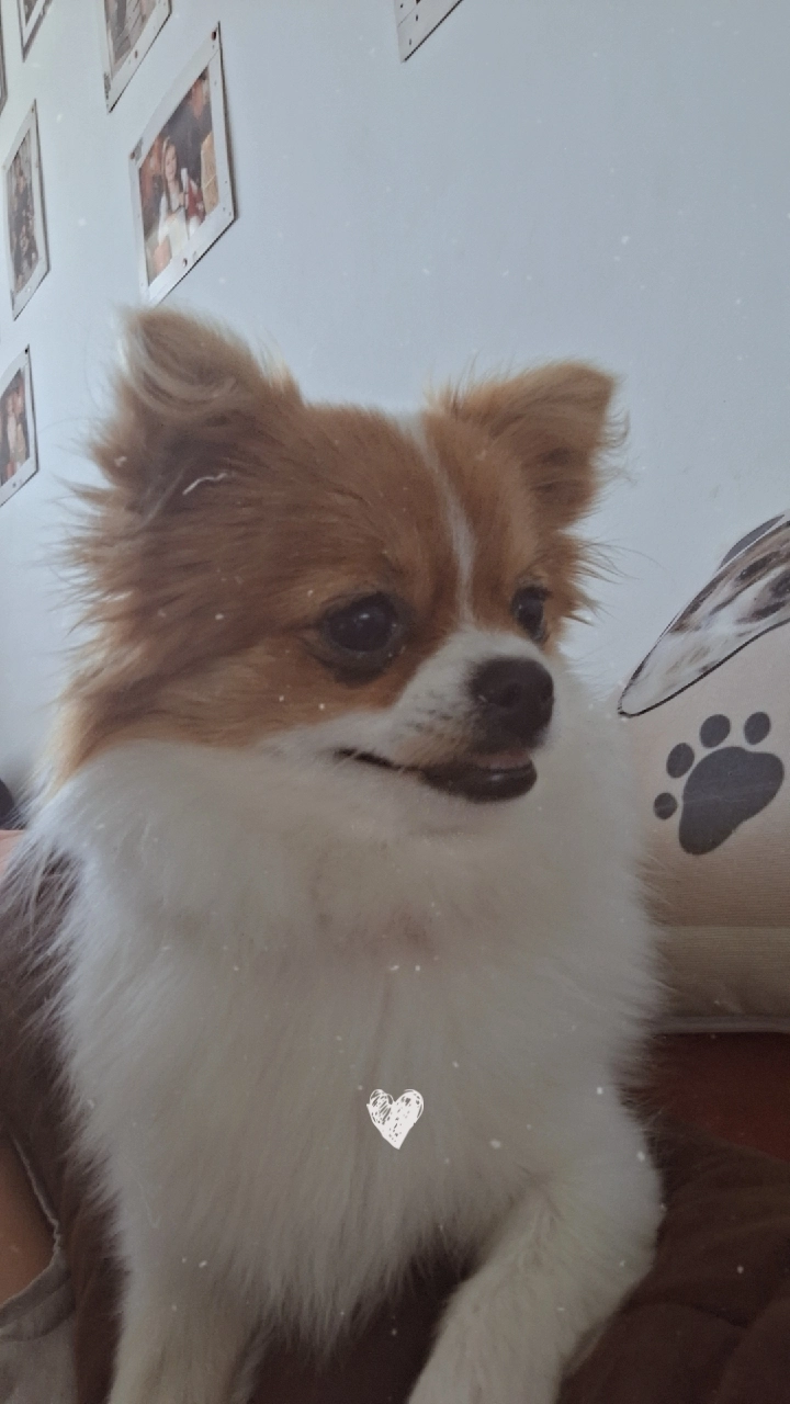 Angel - Cité Edouard Vandeweghe, Engis