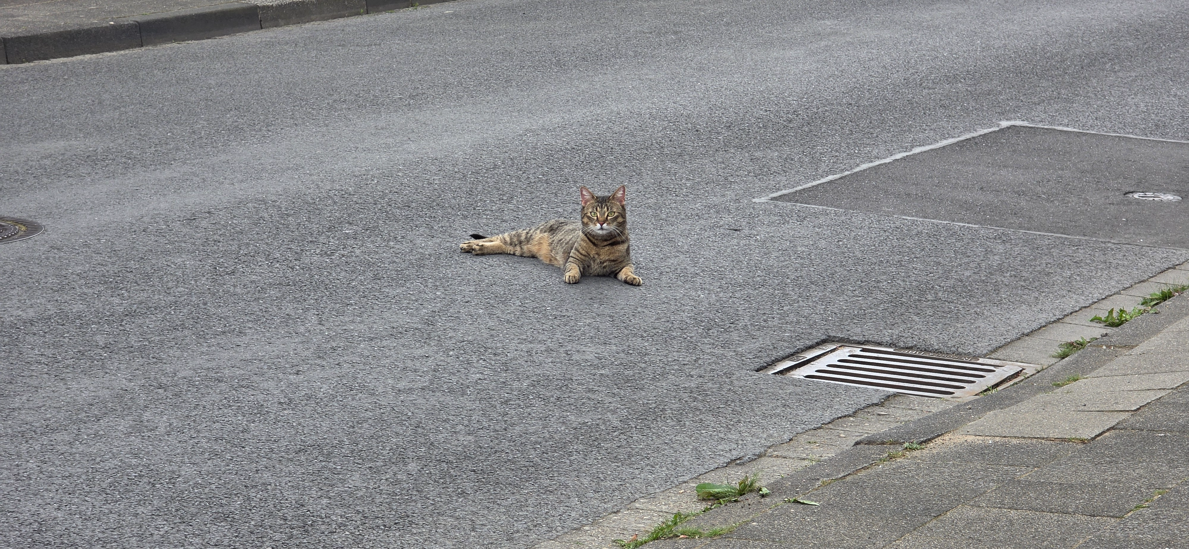 Gandalf - Amselstraße, Wesel