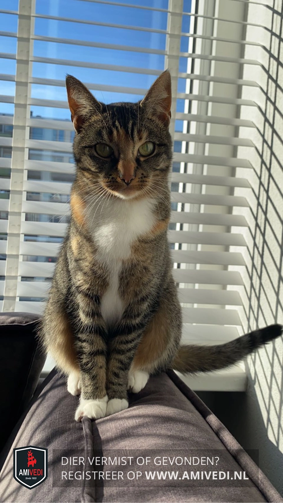 Shiva  - Kanaleneiland-Zuid, Utrecht