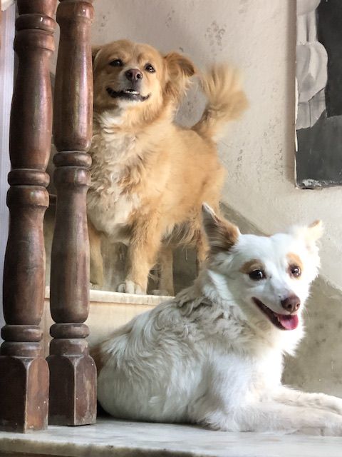 Sundari - Lainchaur, Kathmandu