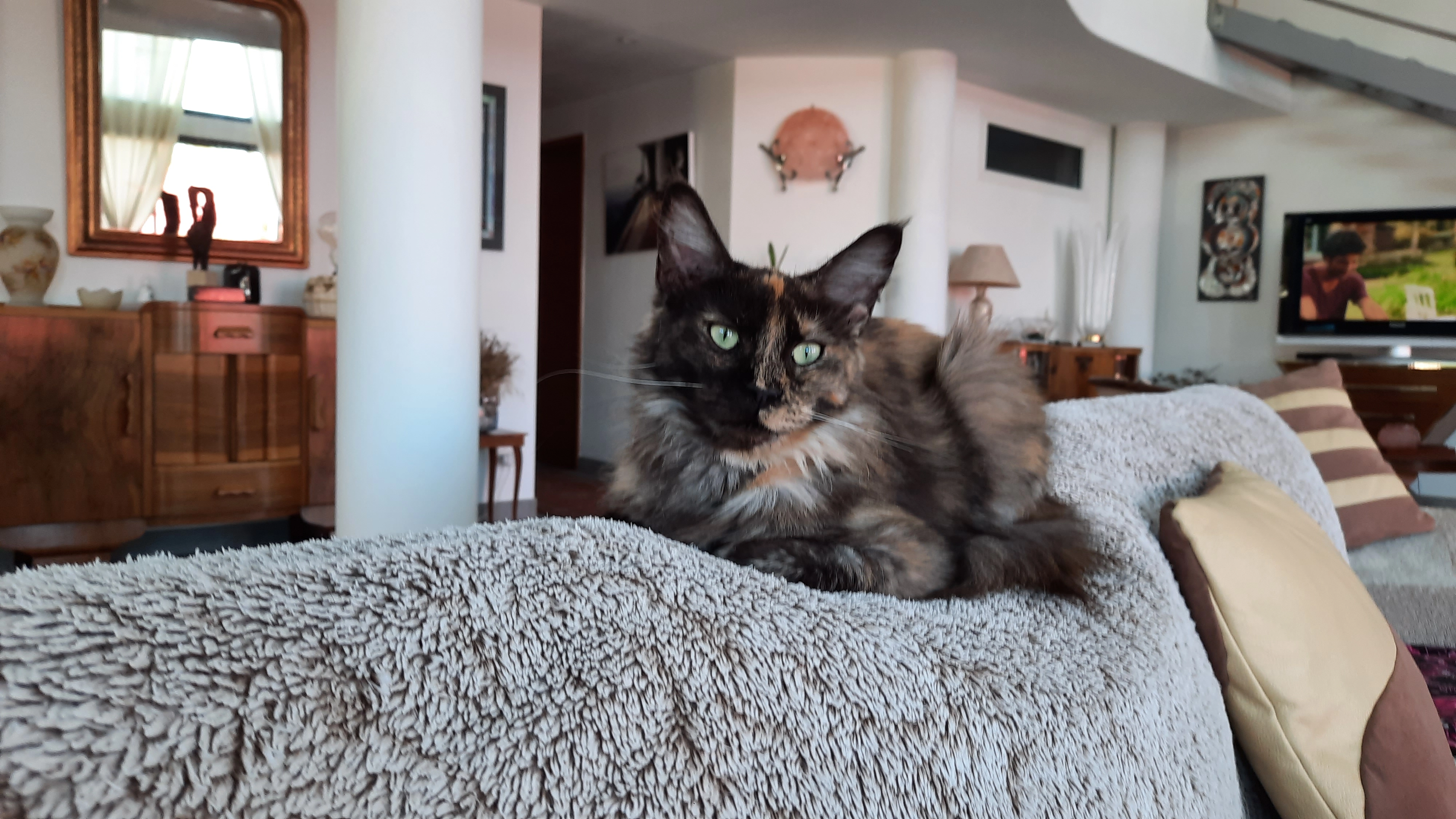 Tia - 2 Rue du Minervois, Saint-Féliu-d'Avall