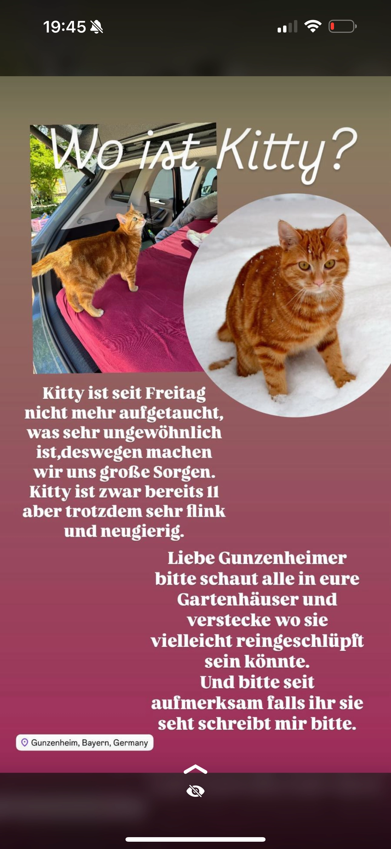 Kitty - Maximilian-Strasser-Straße, Kaisheim