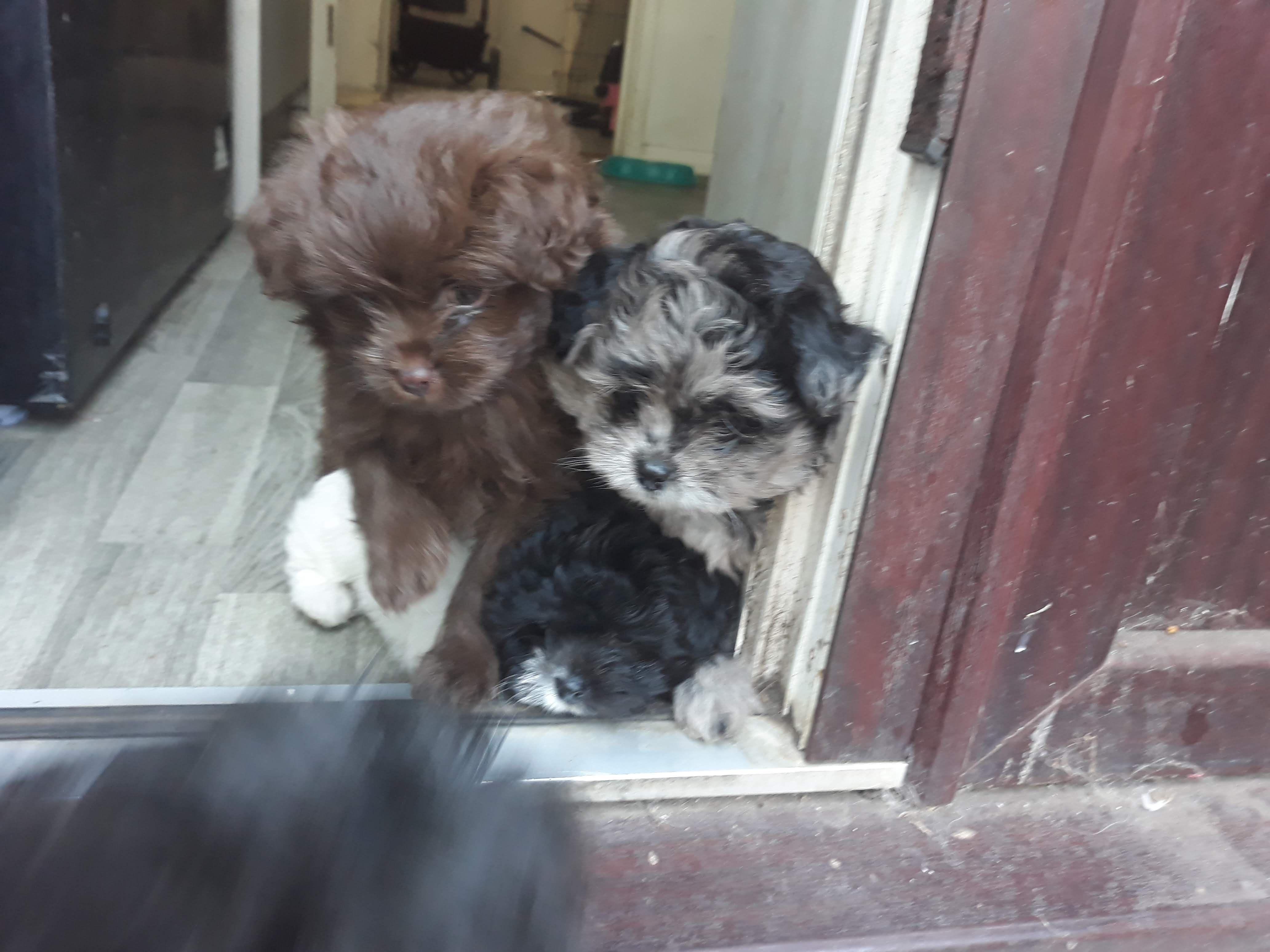 Stella  - Station Road, Birchington-on-Sea