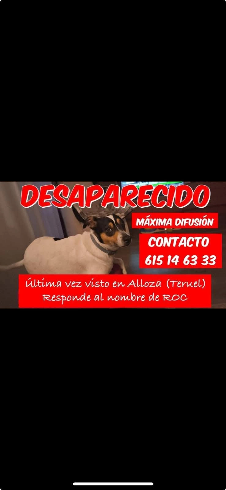 Roc - Camino de Alloza, Alloza