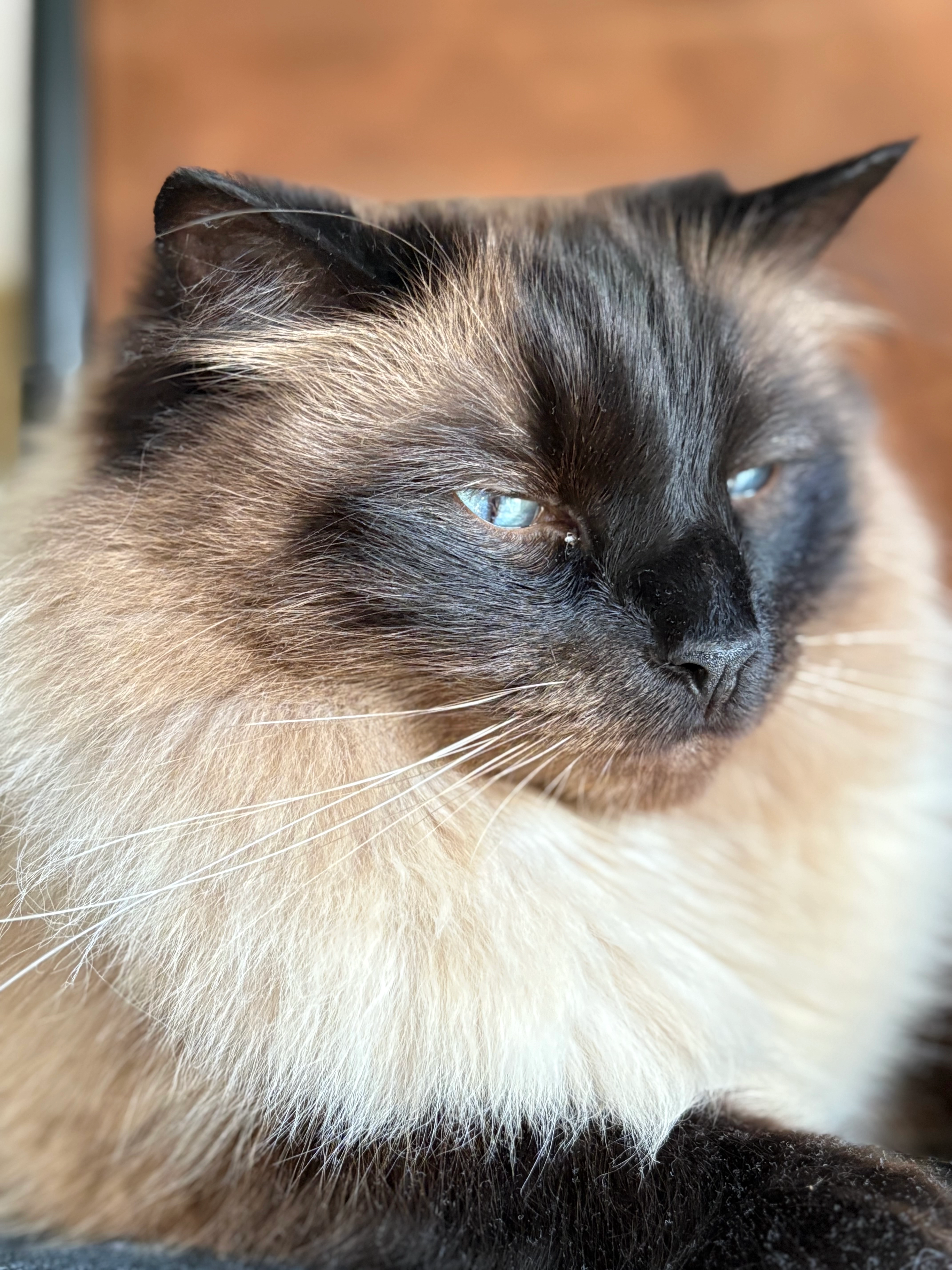 Luka - Herikebrink, Enschede