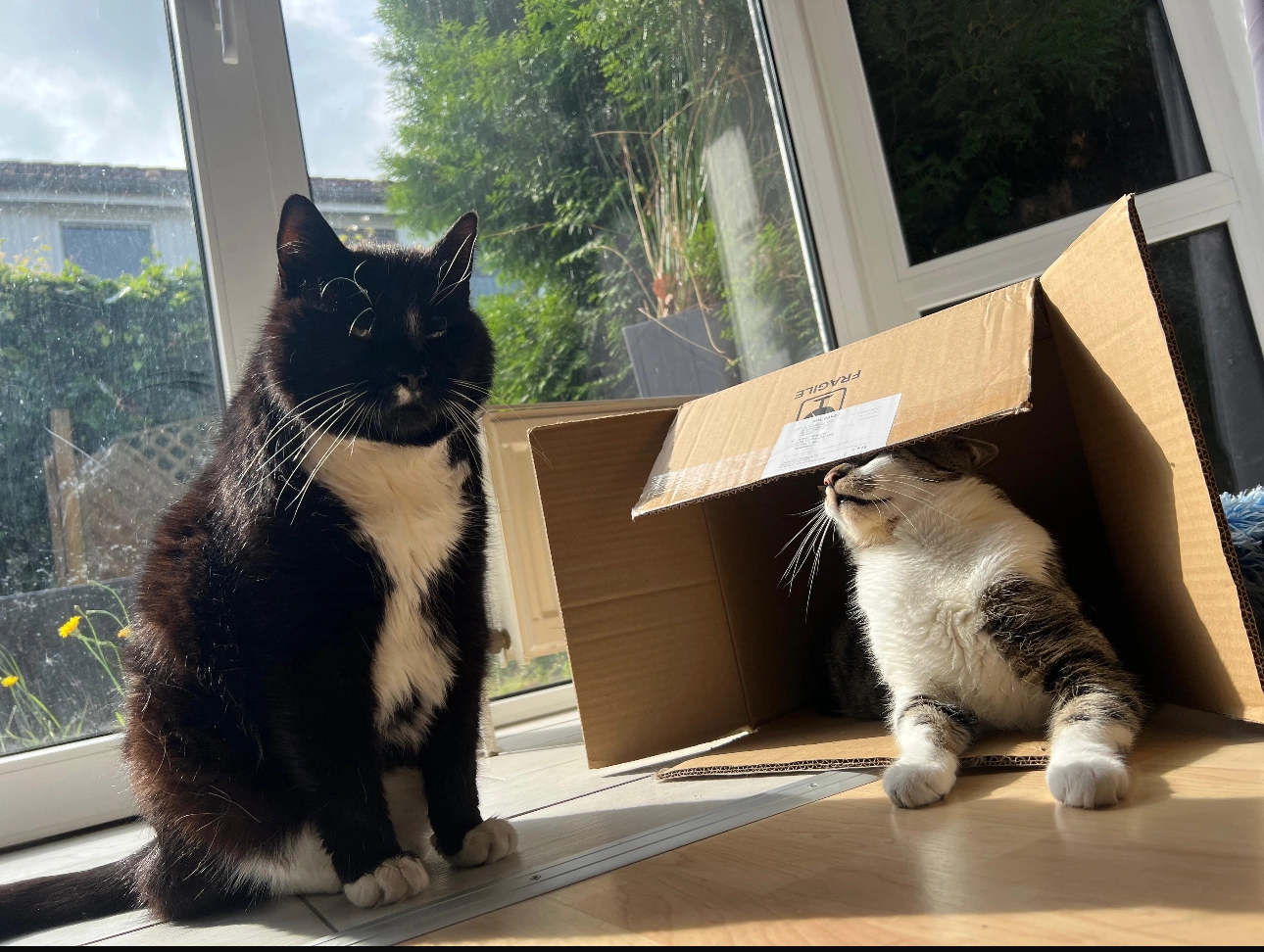 Micky - Alte Dorfstraße, Stade