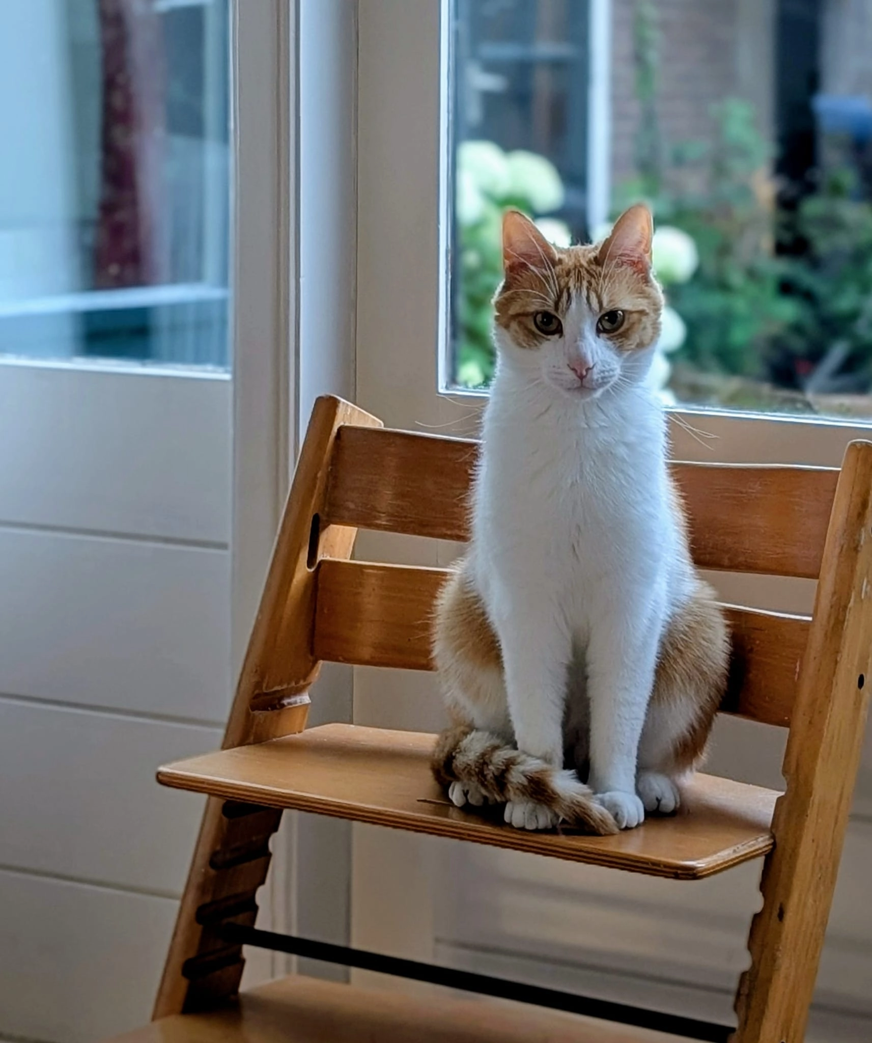 Kota - Moerakkerdwarsstraat, Deventer