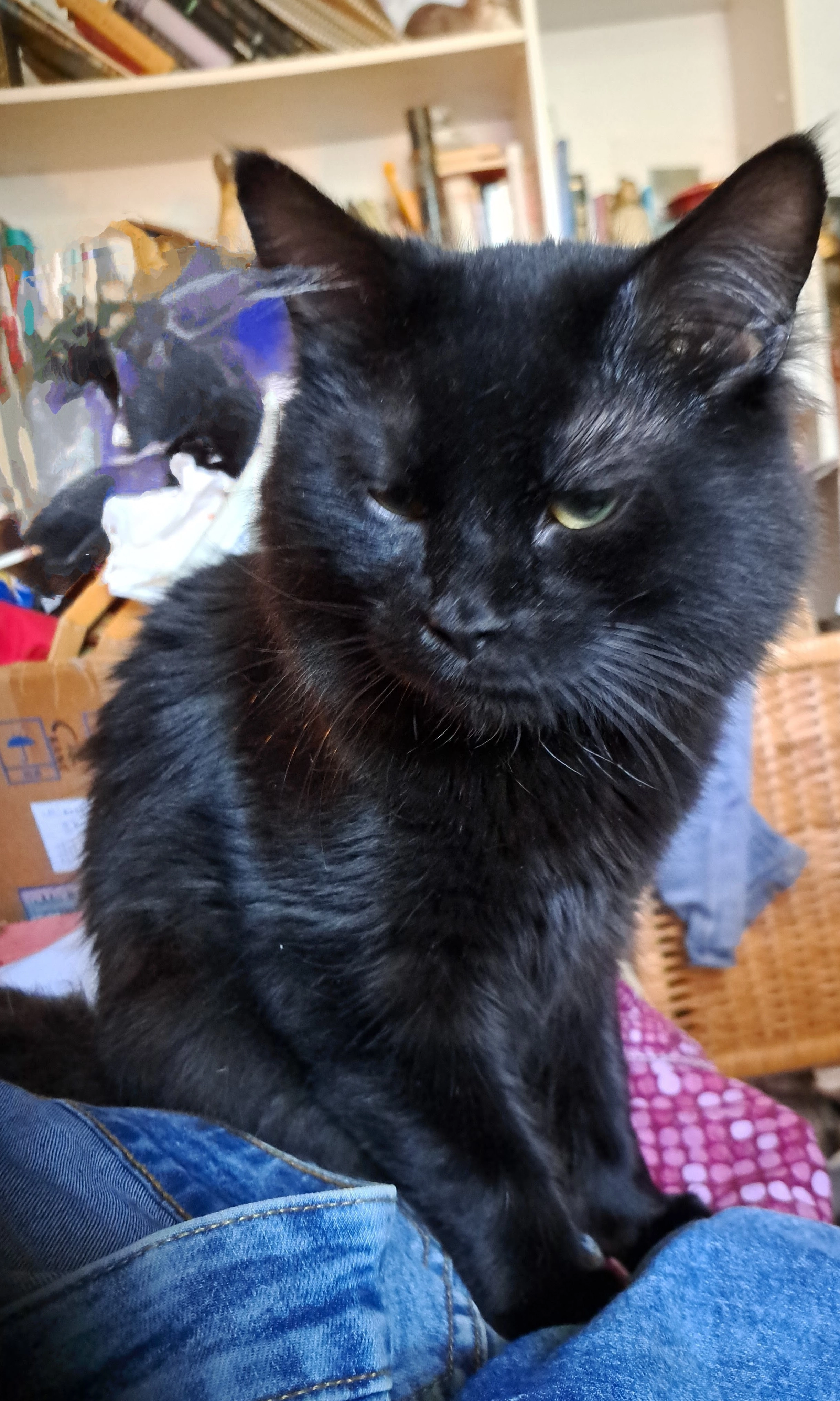 Kaylash - Duggingerhof, Basel