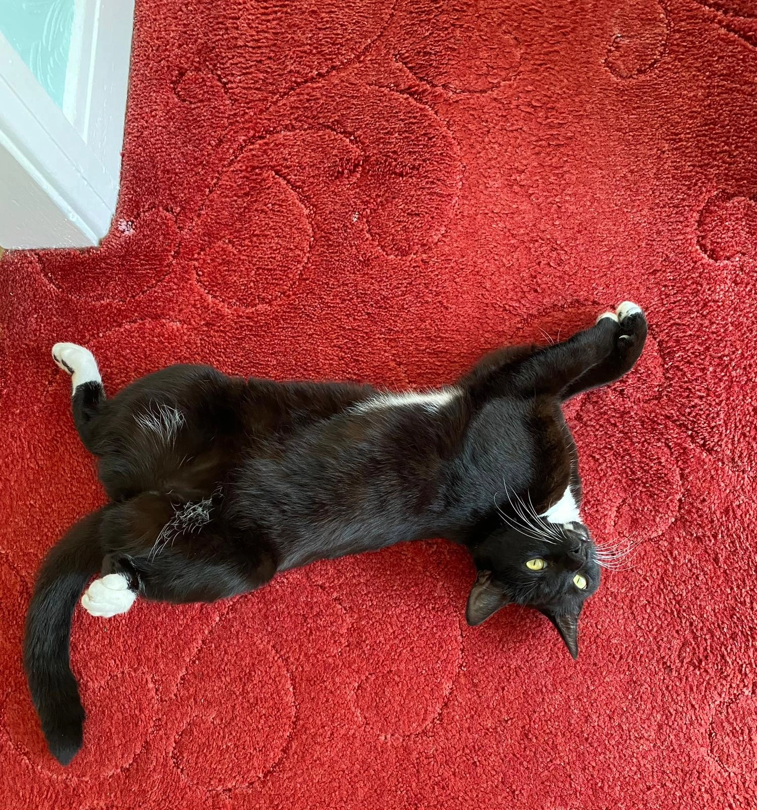 Boba - Cleveley Road, Wirral