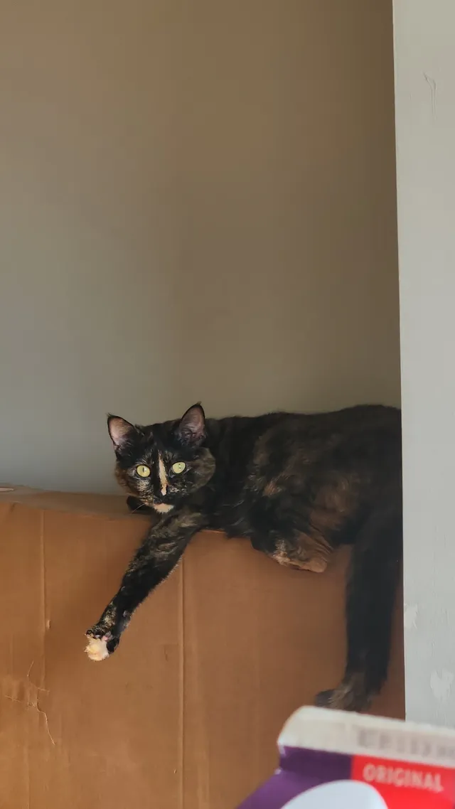 Margot - 406 N Street SE, Glen Burnie