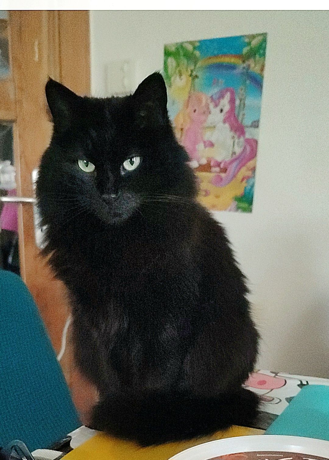 Momo - Küferstraße, Sontheim