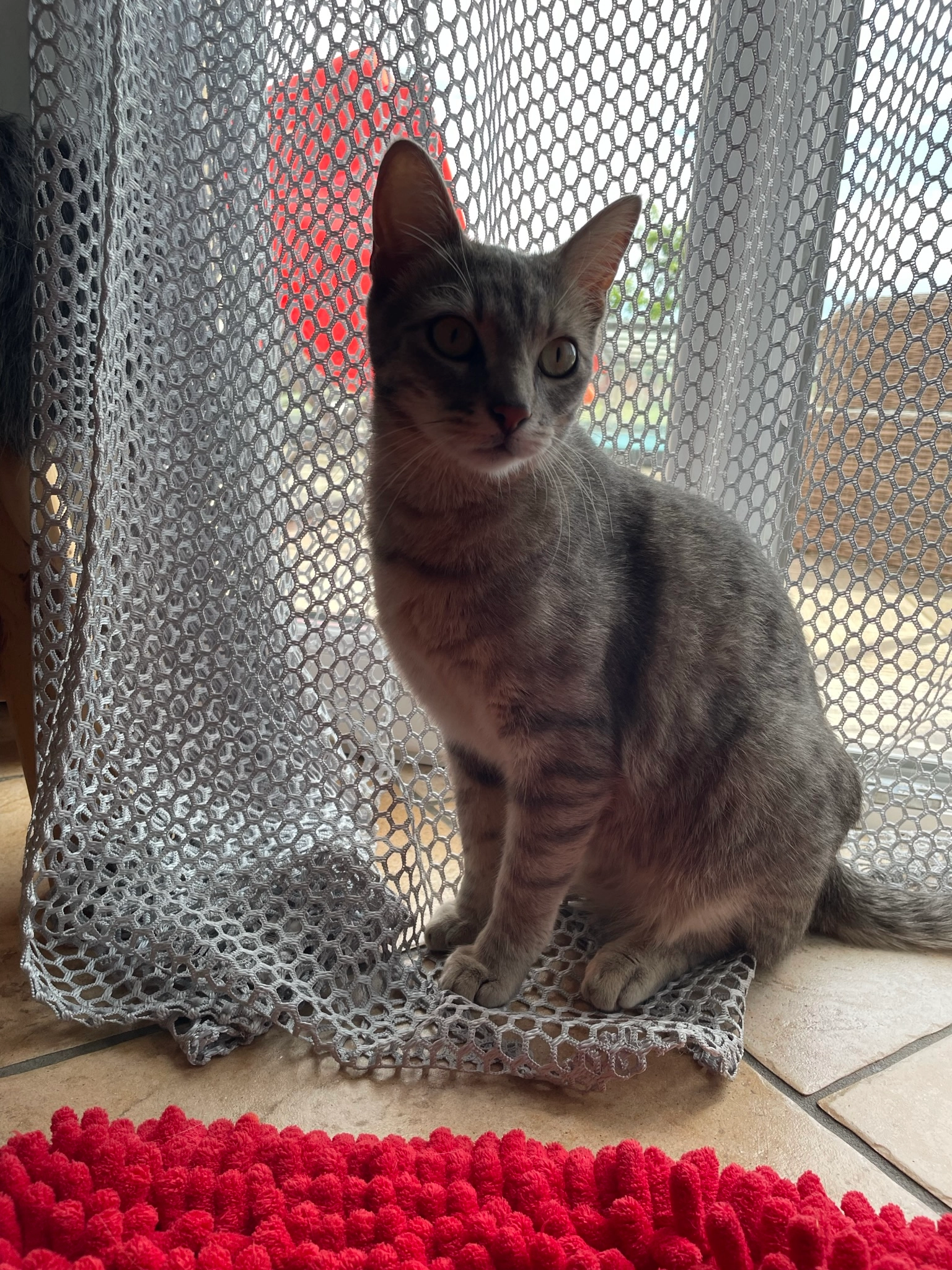 Louna  - 28 Avenue de la Gare, Créchy