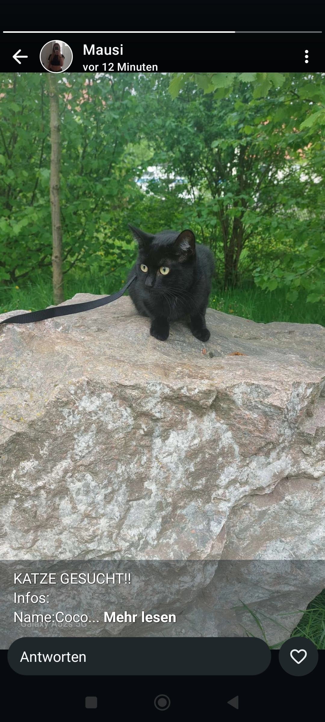 Coco - Alte Hauptstraße, Bobritzsch-Hilbersdorf