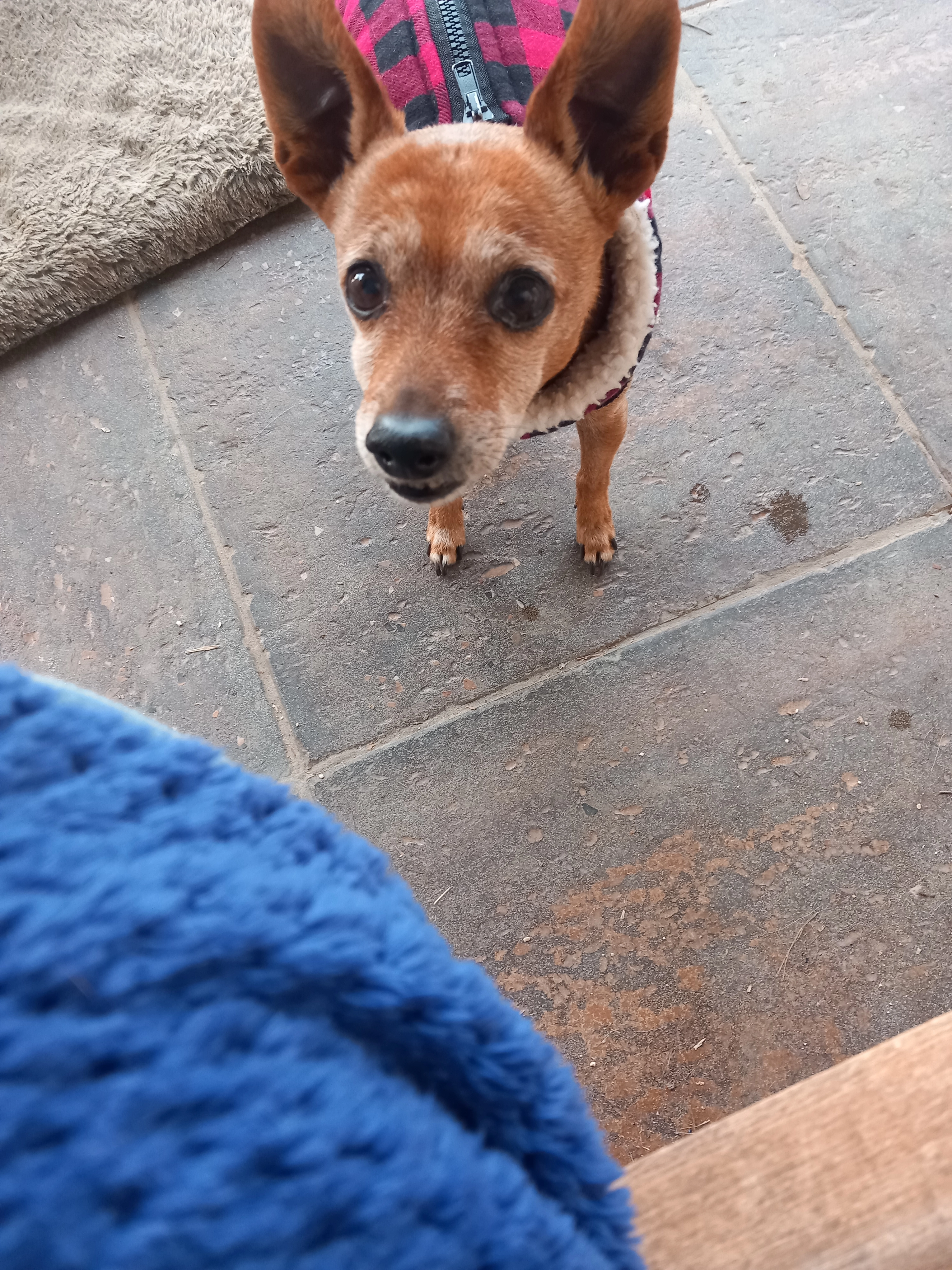 Hagrid - Route Des Amandiers, Meyreuil