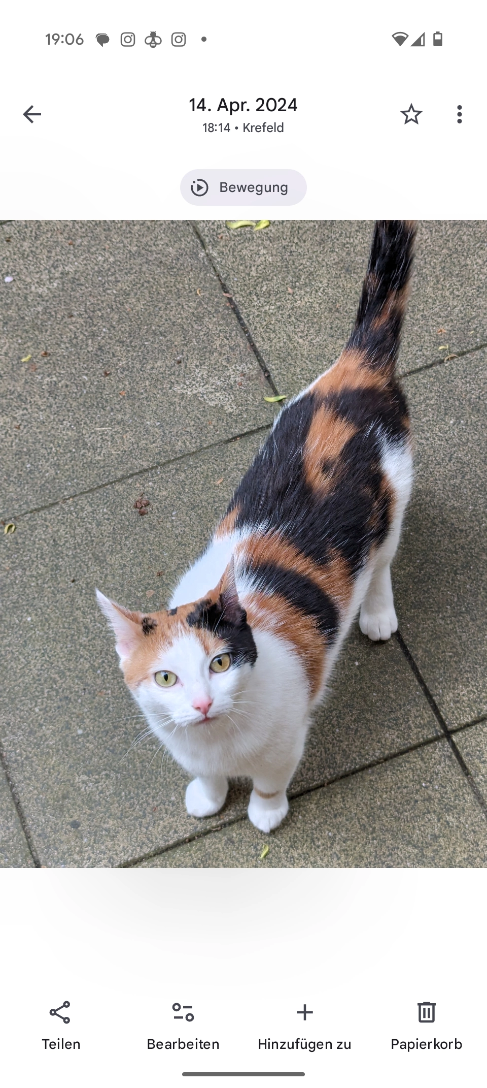 QUINN - Rheinstraße 61, Krefeld