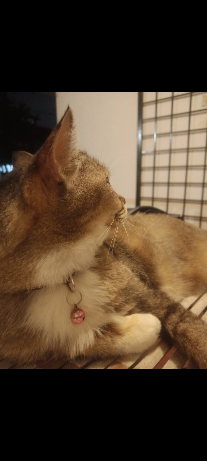 Kitty - Plaza Damas, Kuala Lumpur