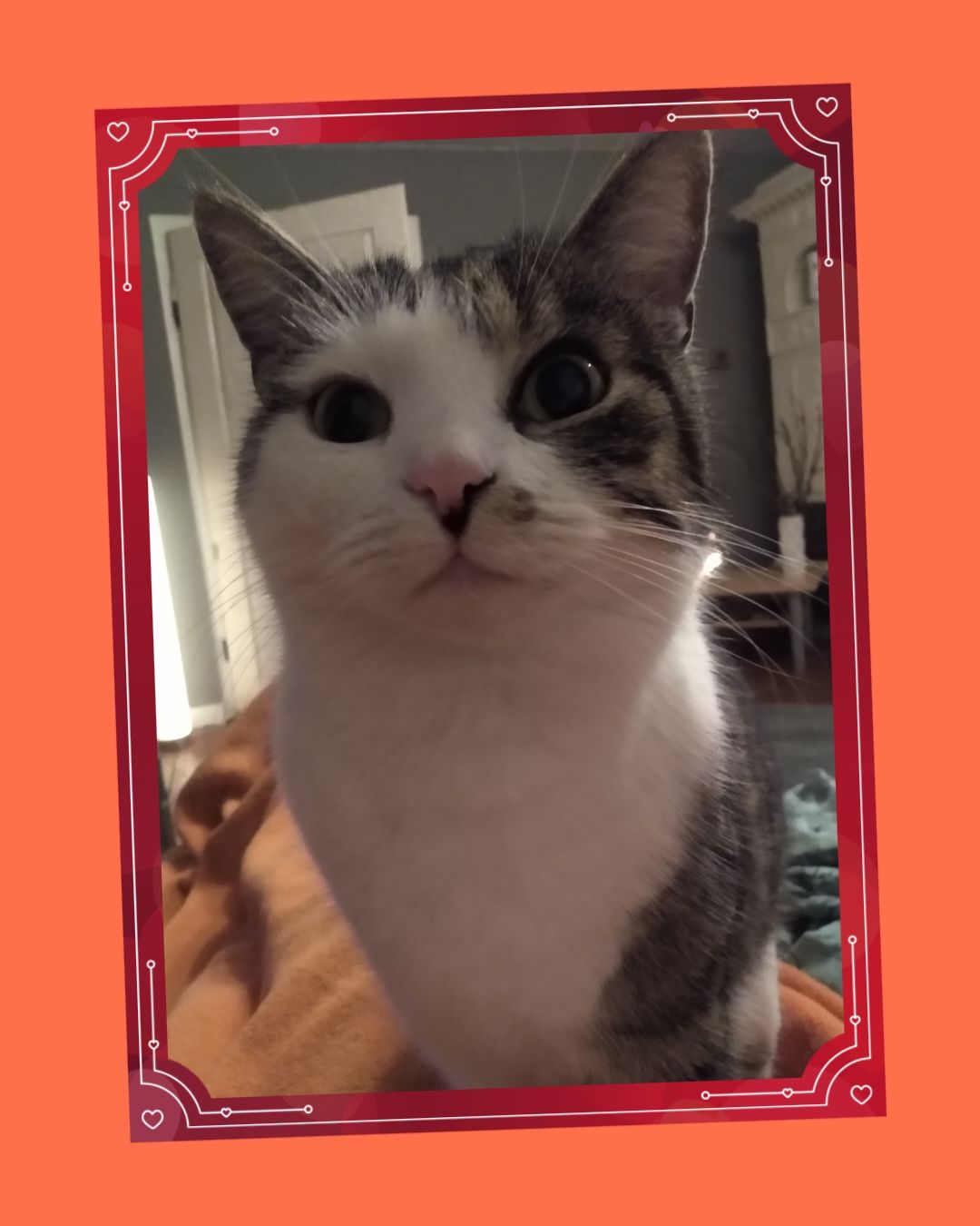 Gini - Am Hügel, Naila