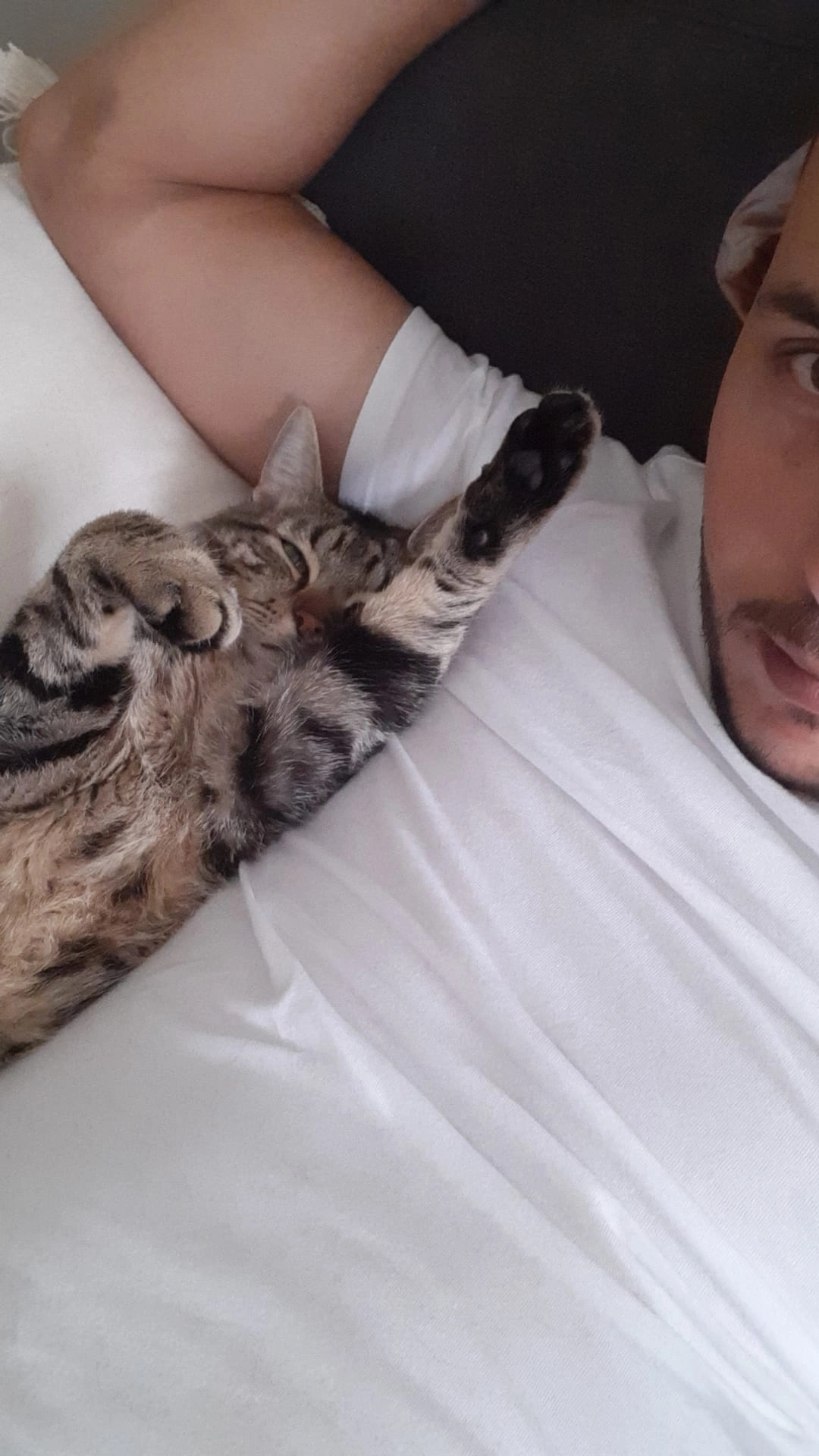 Uno - Rue de la Corderie, Le Mans