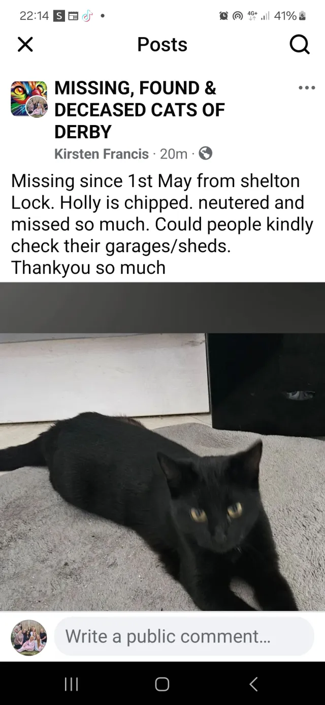 Holly - Whitehouse Close, Derby