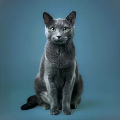 mimi - Avenue de Lucens 44, Moudon