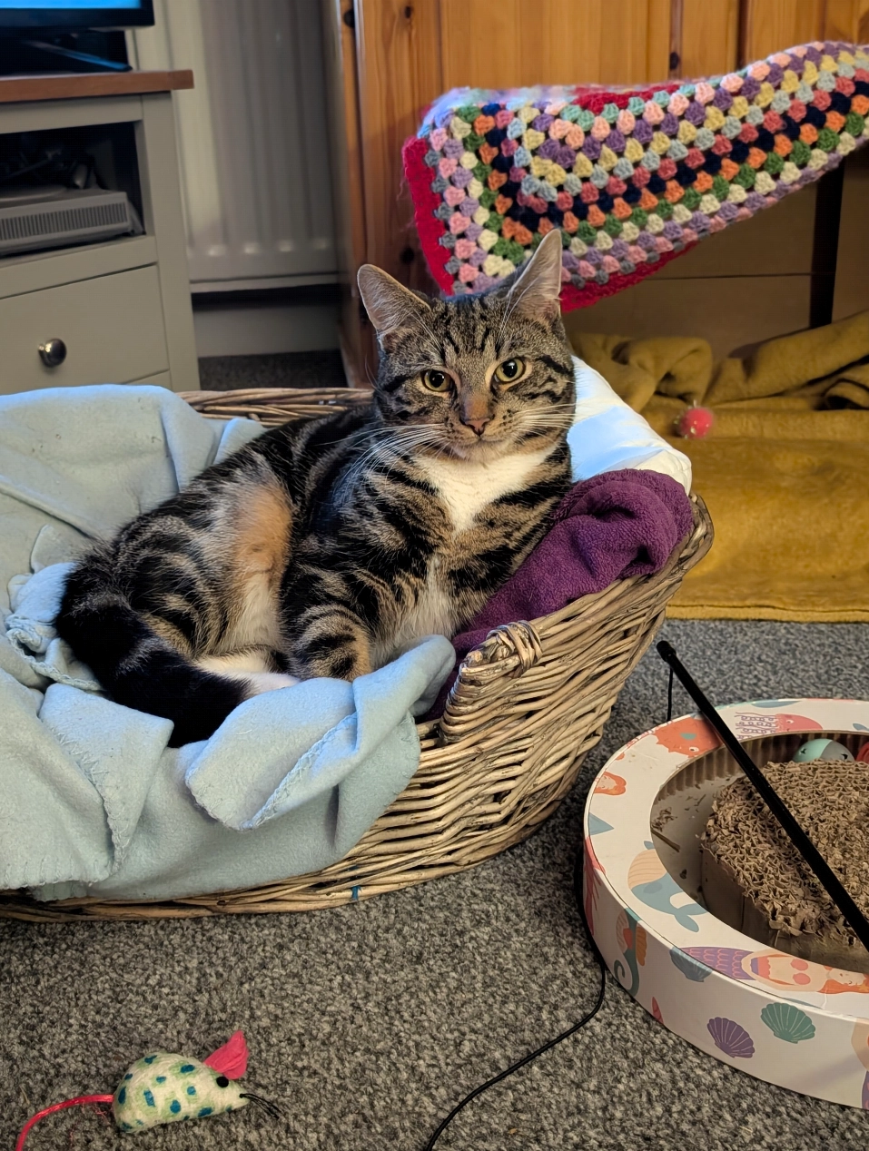 Sasha - The Drive, Newcastle Upon Tyne