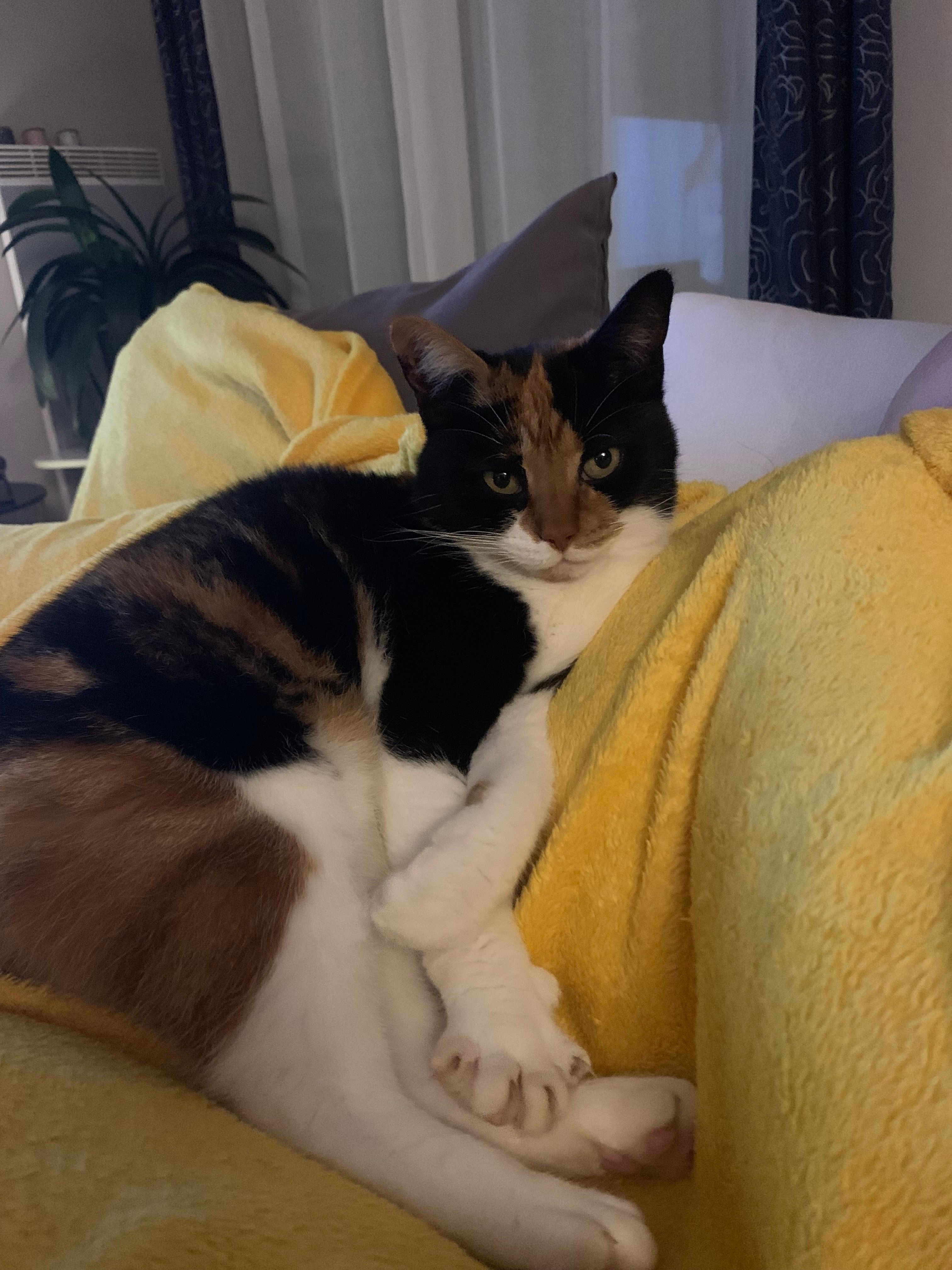 Zoé Huguette  - Quai De La Corderie, Lannion