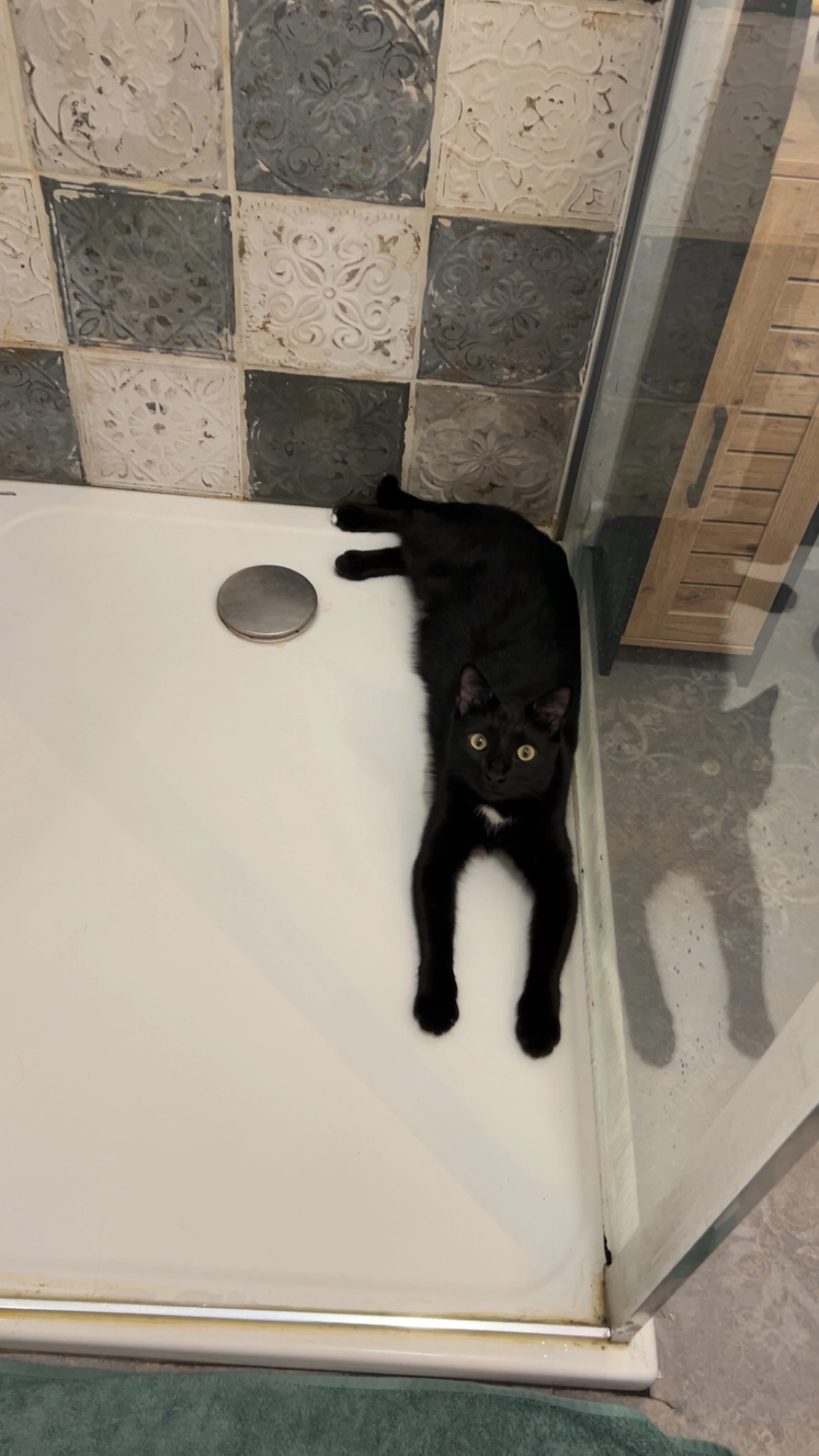 Morty - 32 Rue de la Libération, Saint-Marcellin-en-Forez