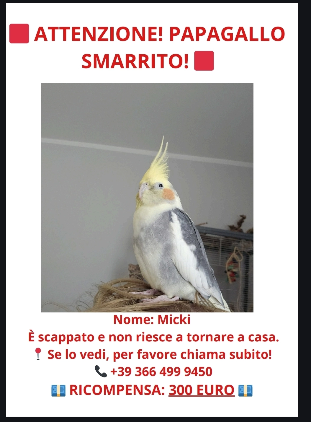 Micky - Salita Rosario, Raffadali