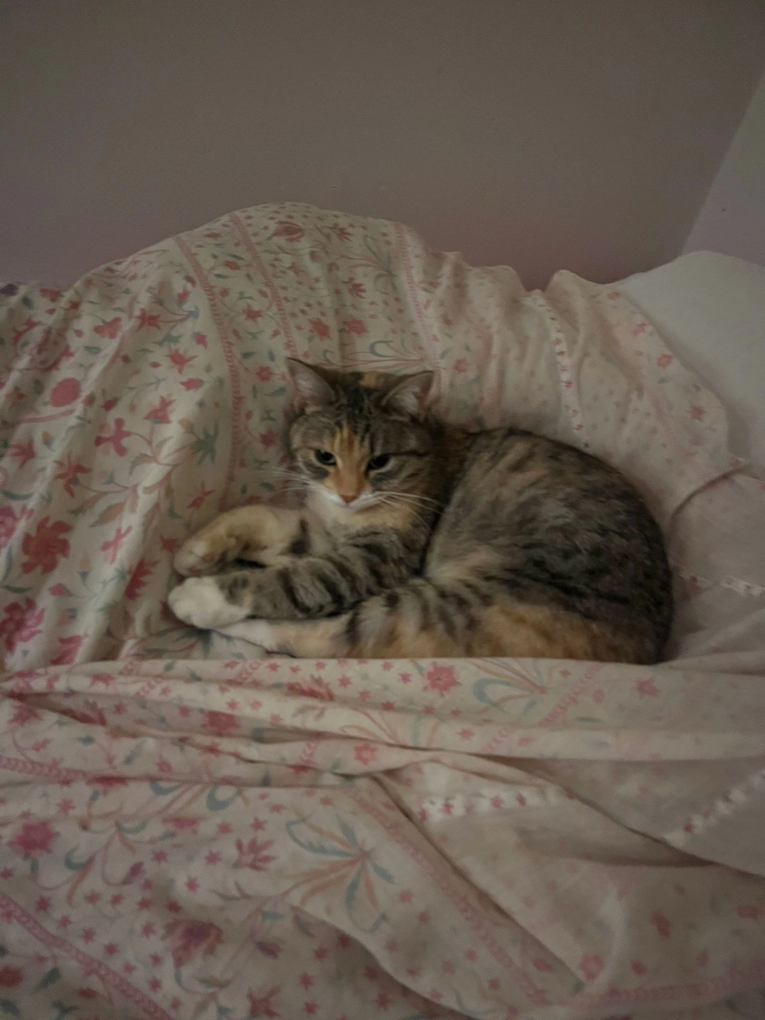 Cajou - Seeblickstrasse 12, Zürich