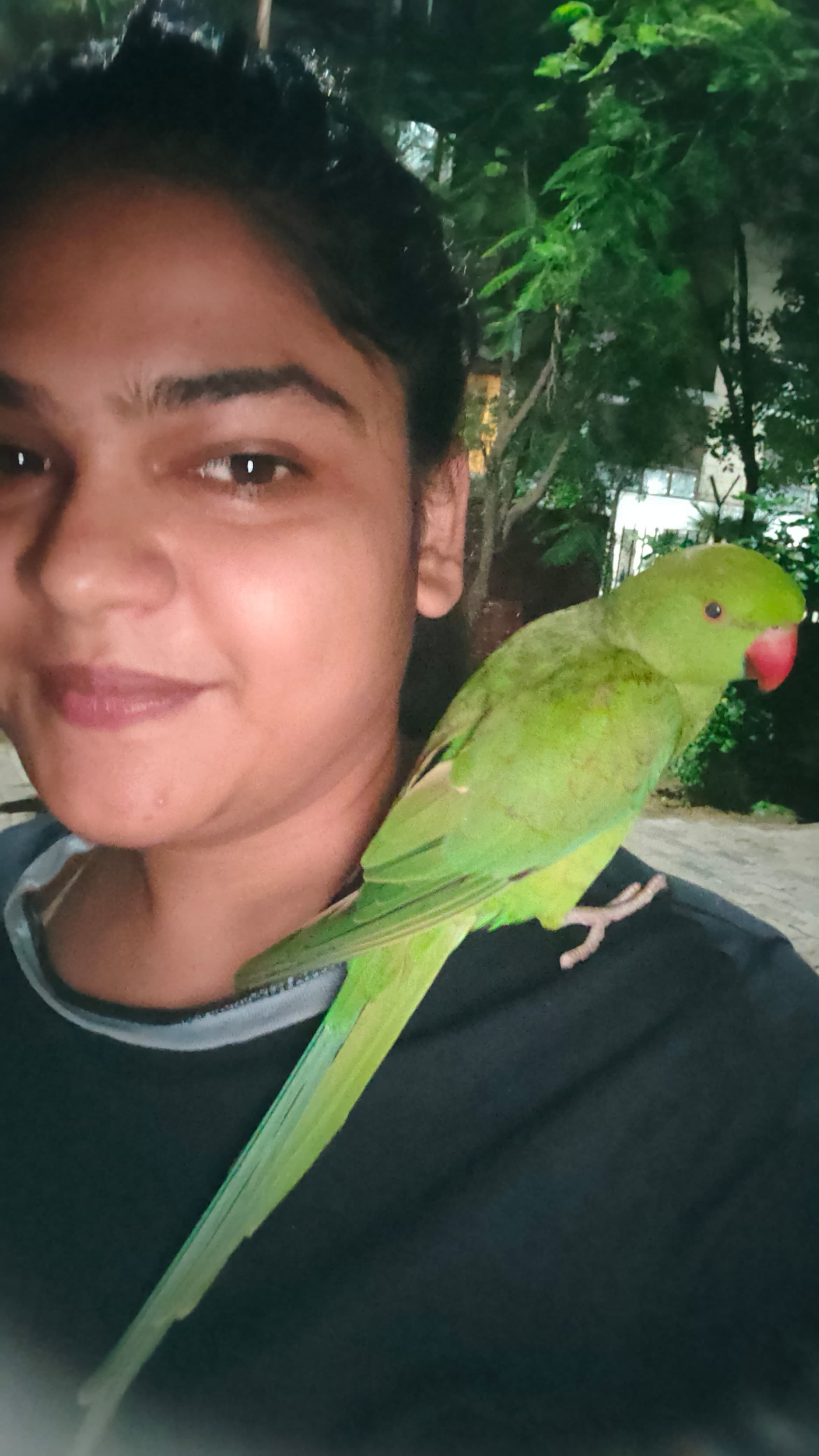 Mithu - Krishna Marg, Jaipur