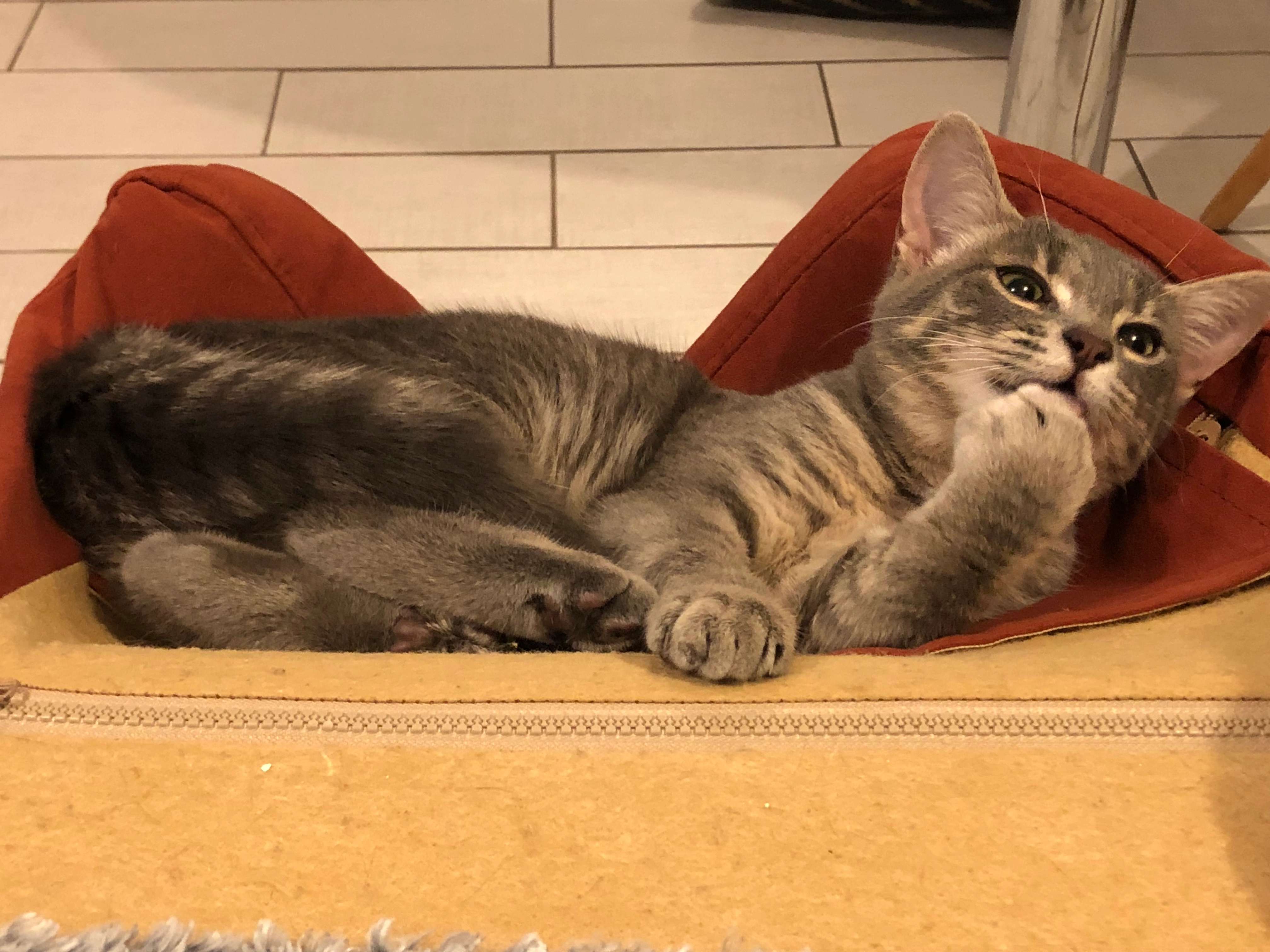 Flash - Rue du Stade, Brissac-Loire-Aubance