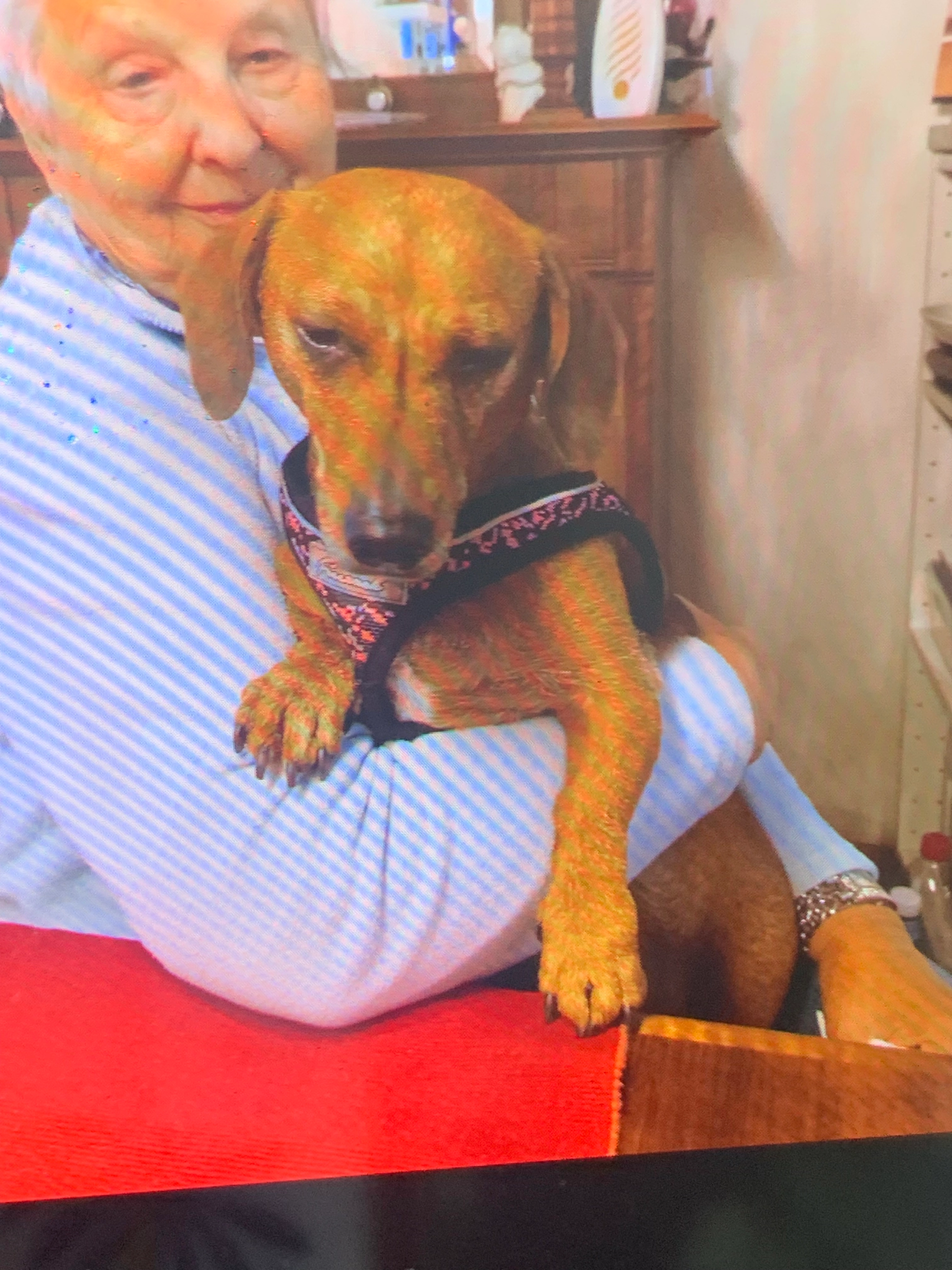 Camilla - Alte Haldenstrasse 10, Hedingen