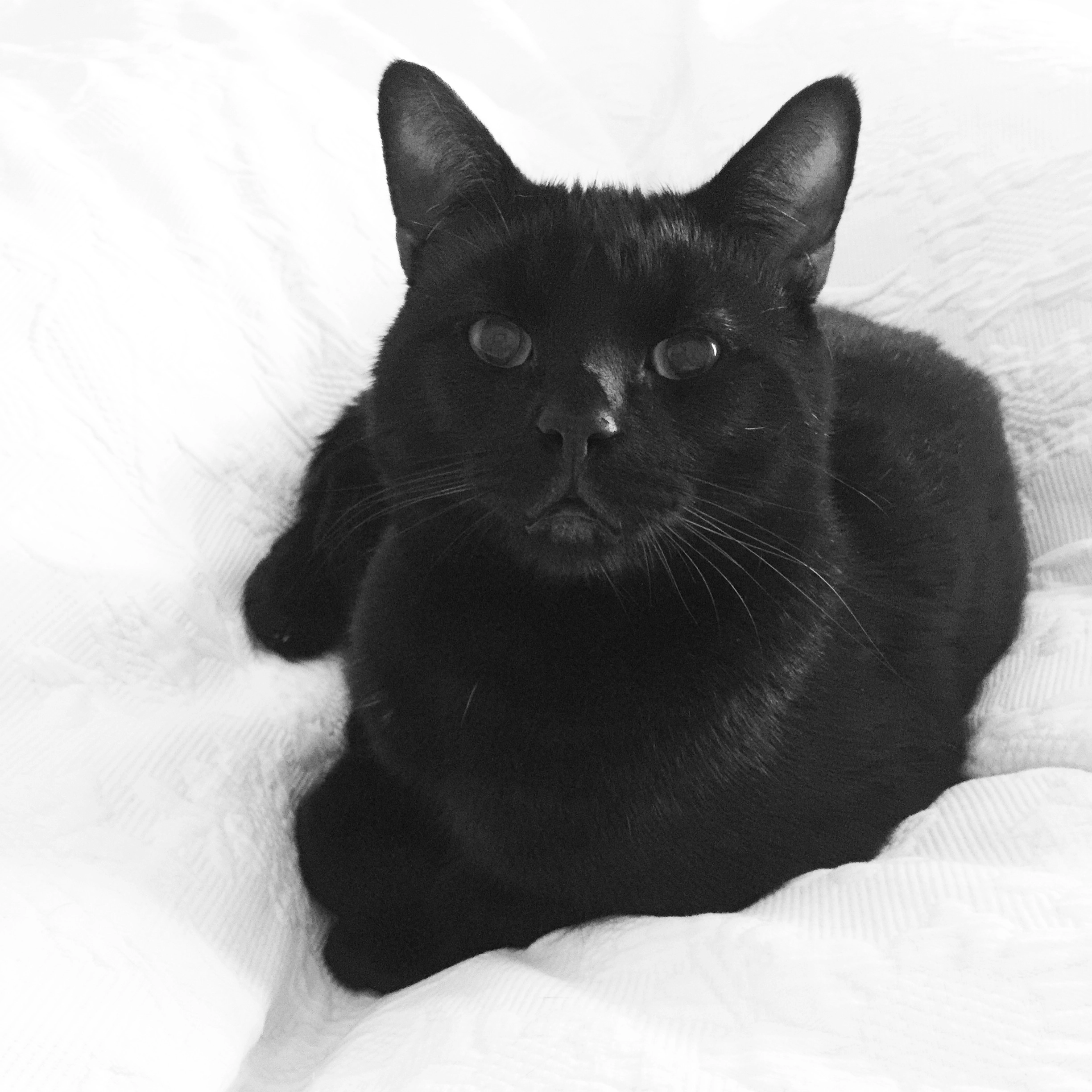 George  - GL54 4, Cheltenham