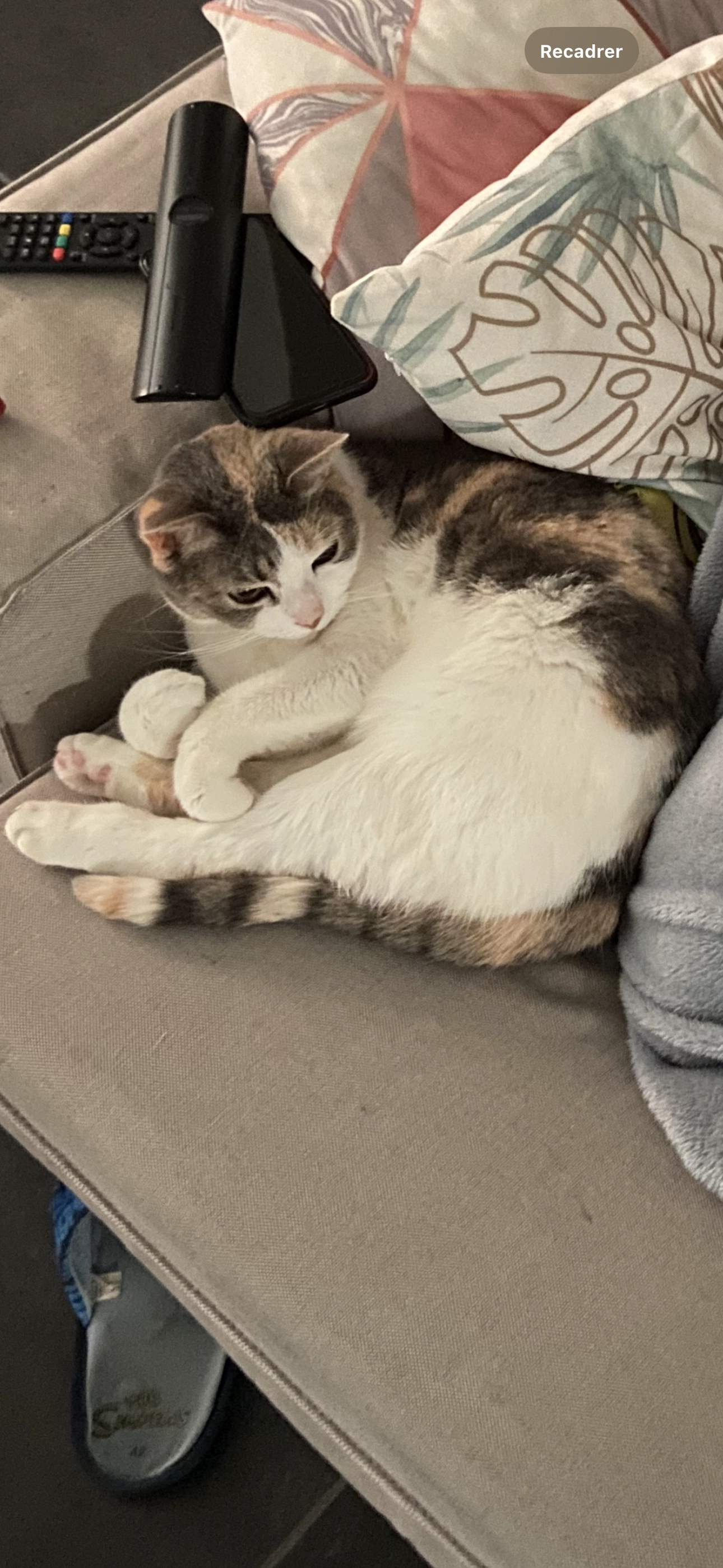 Pistache  - Rue de la Loi 29, Manage