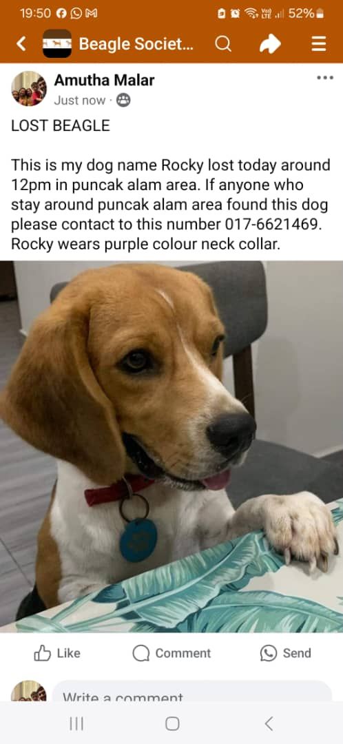 Rocky - 47000, Sungai Buloh