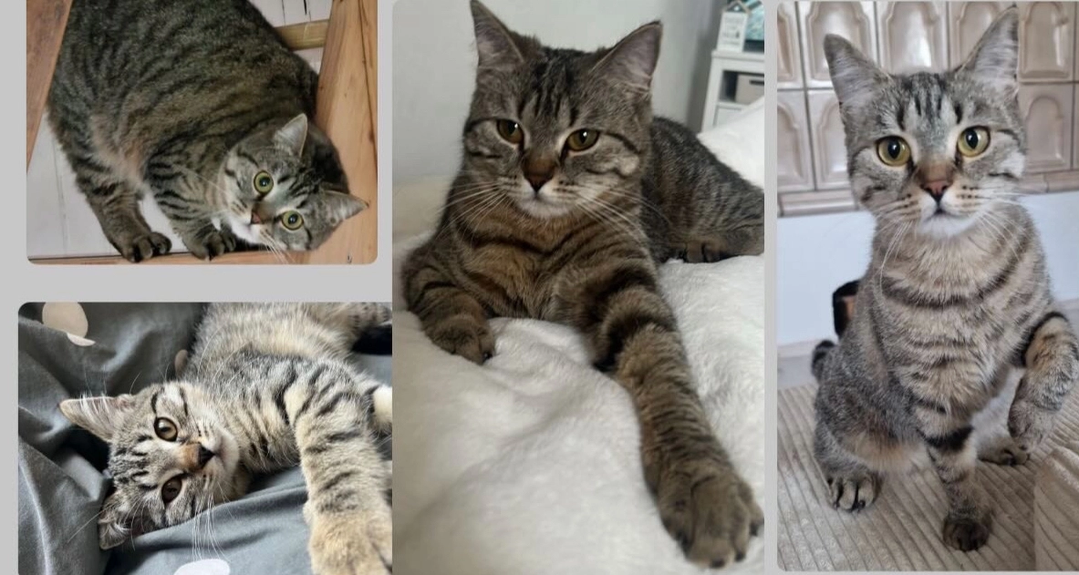 Luna - Kleine Höhe, Sankt Wendel