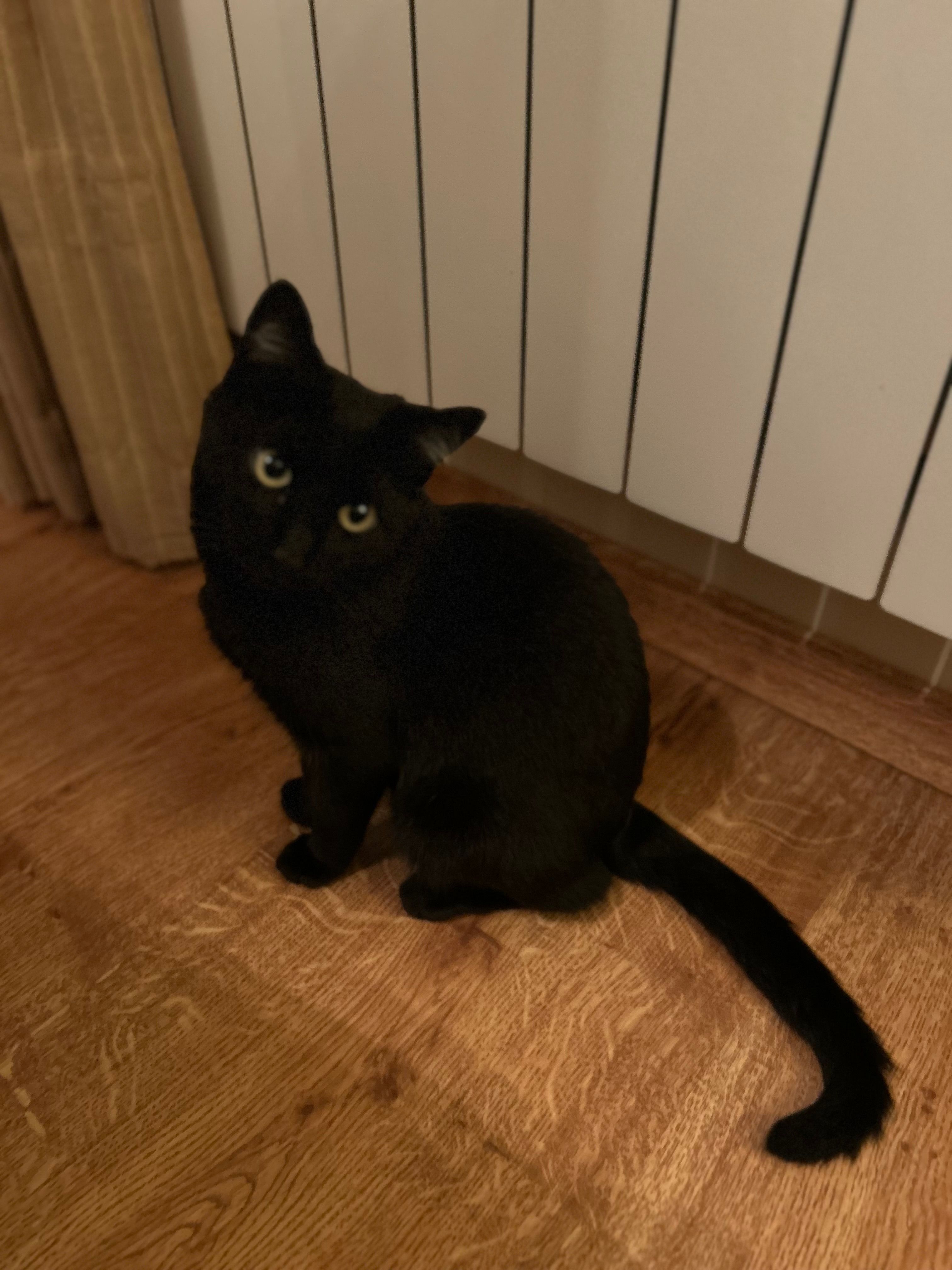 Orellas - Calle Clavel, Torrelaguna