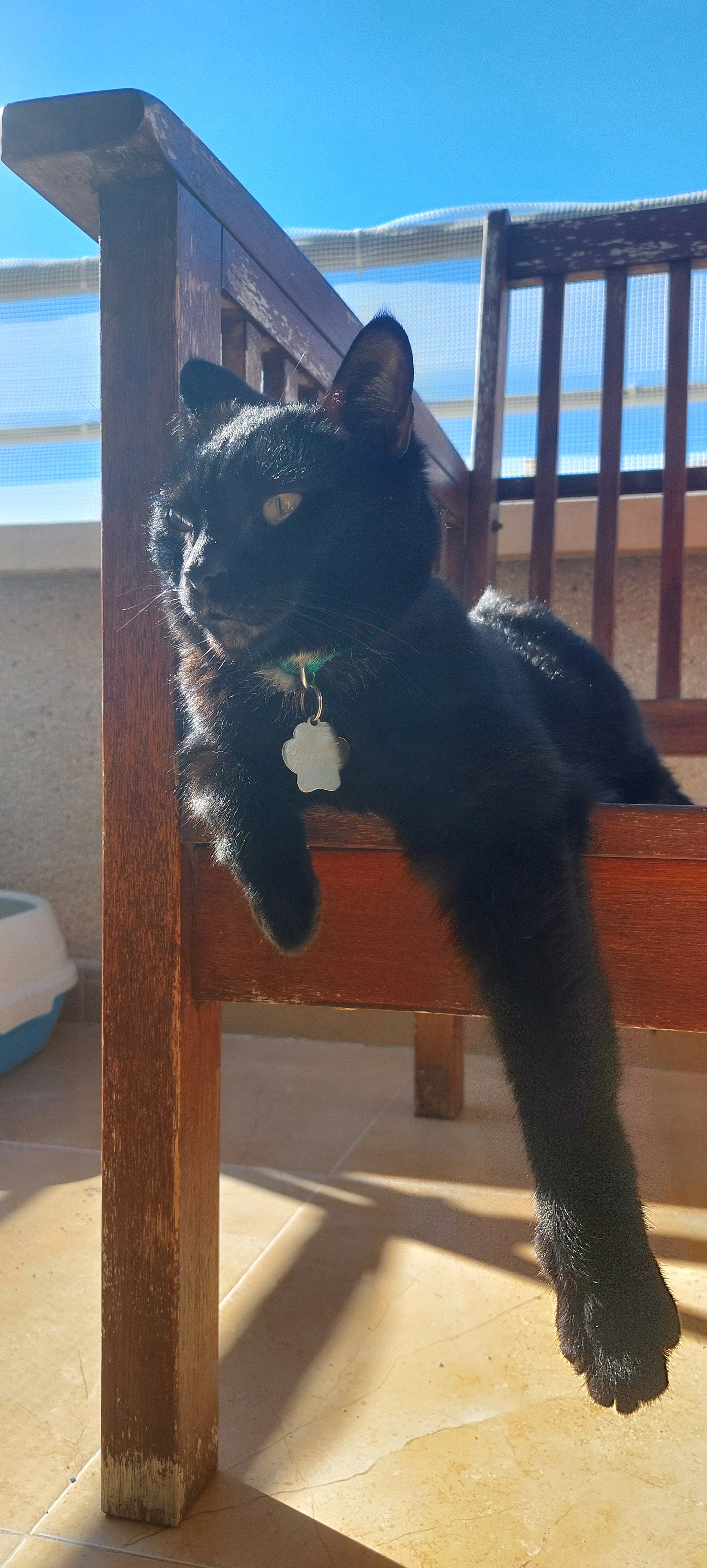 Maty - Carrer Tomas Ortuño, Benidorm