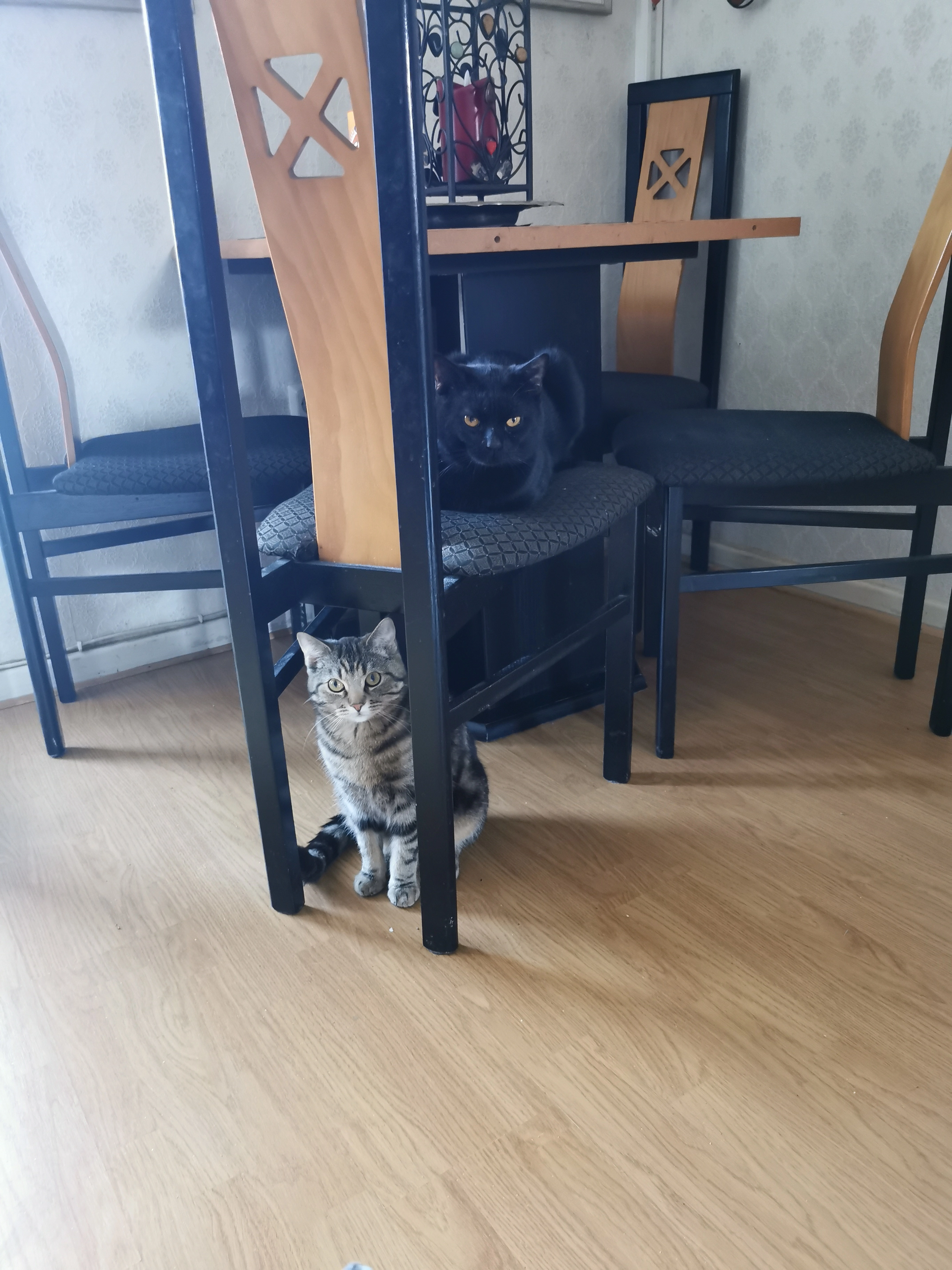 Luno - Röderring, Gießen