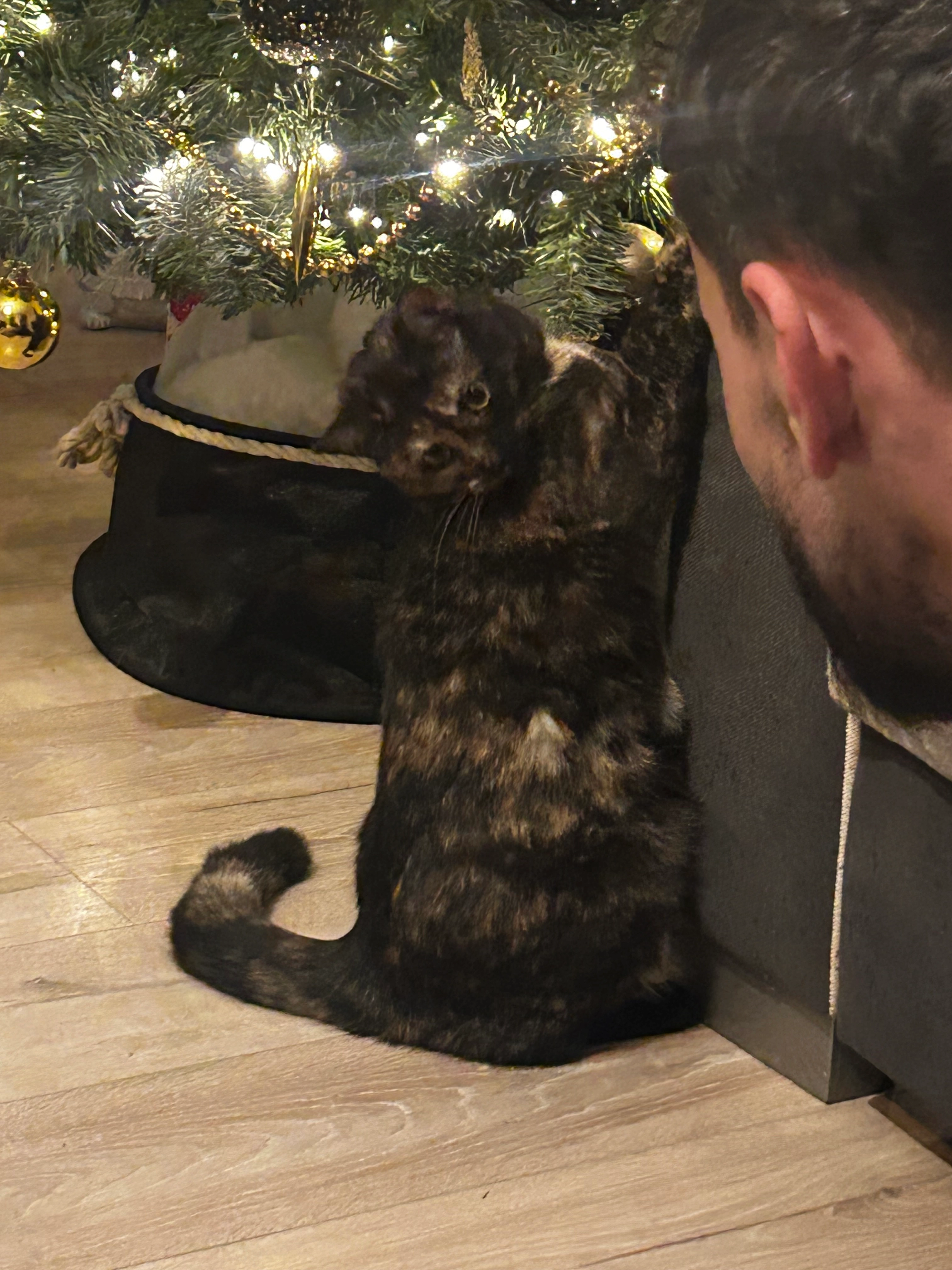 Poopy - Rue Antiémont 3, Marche-en-Famenne