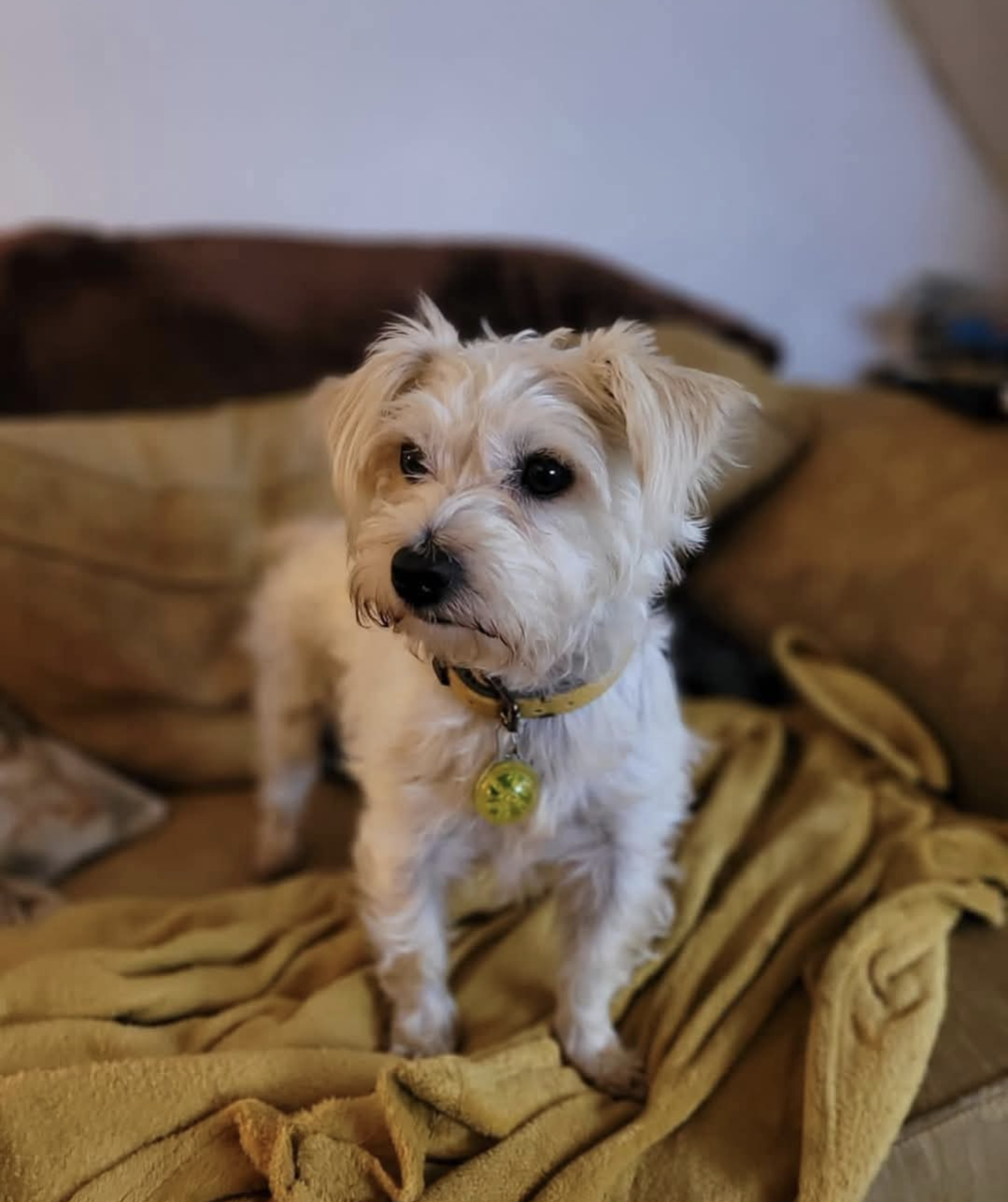 Natty - Mallow Street, Manchester