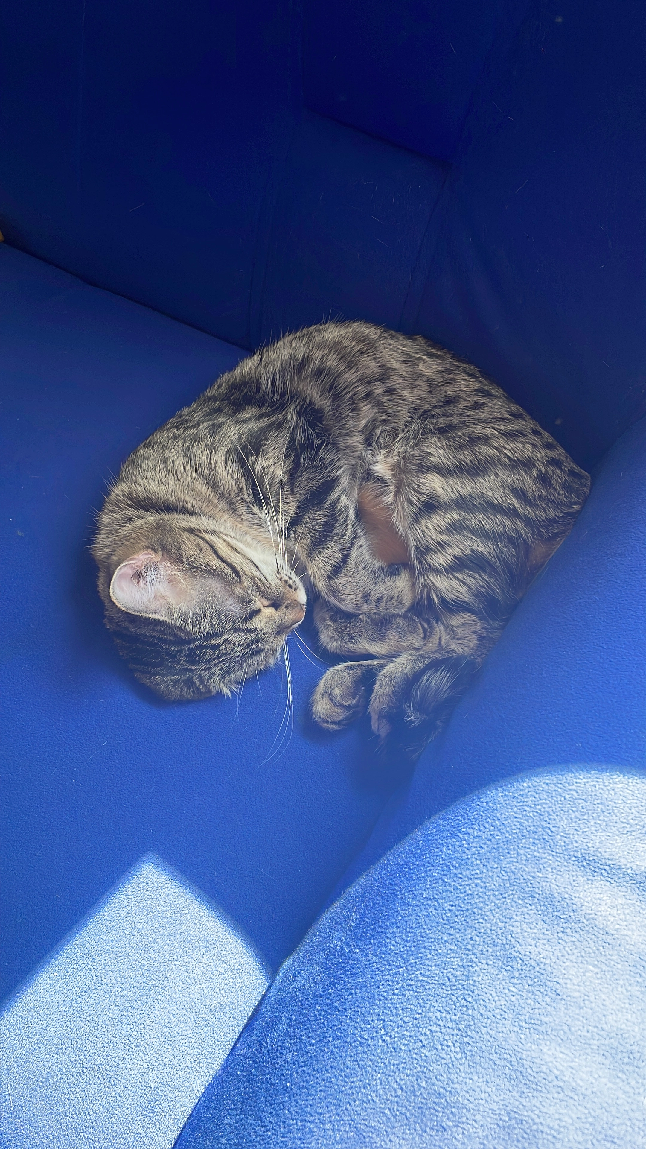 Boncuk - Hauptstraße, Fichtenberg