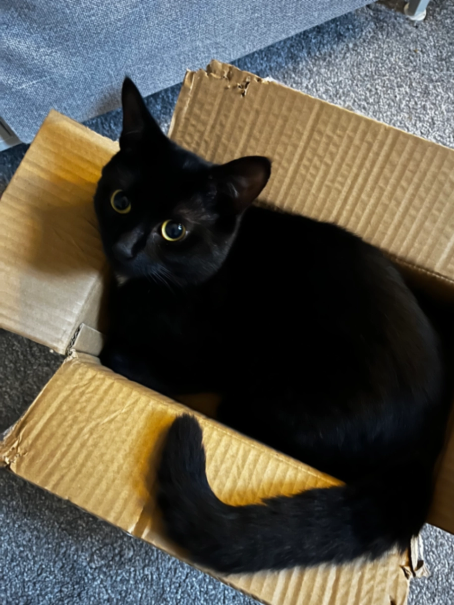 Lula - Heywood Court Close, Maidenhead