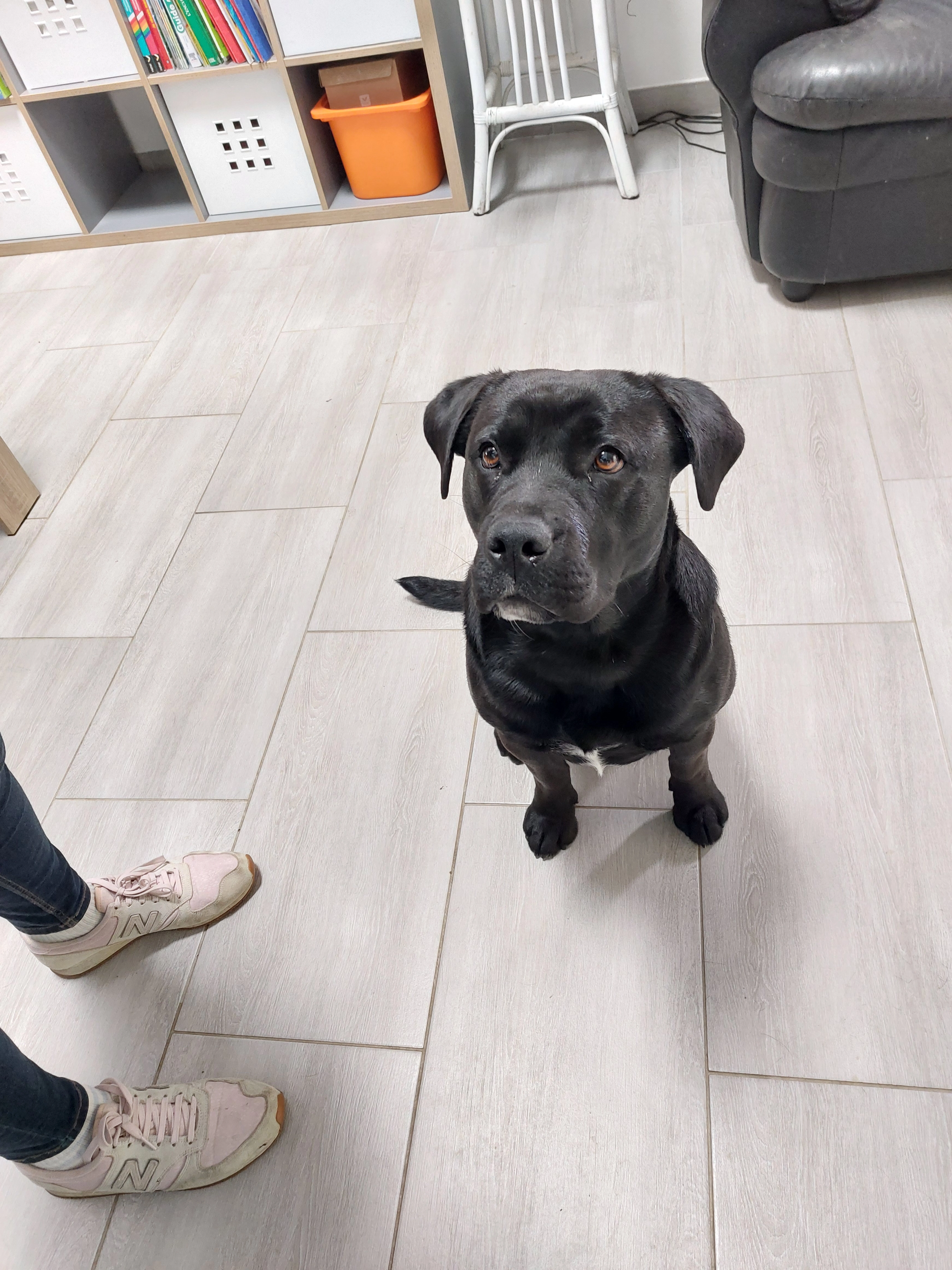 Cody - chemin de la Menuse, Ligugé