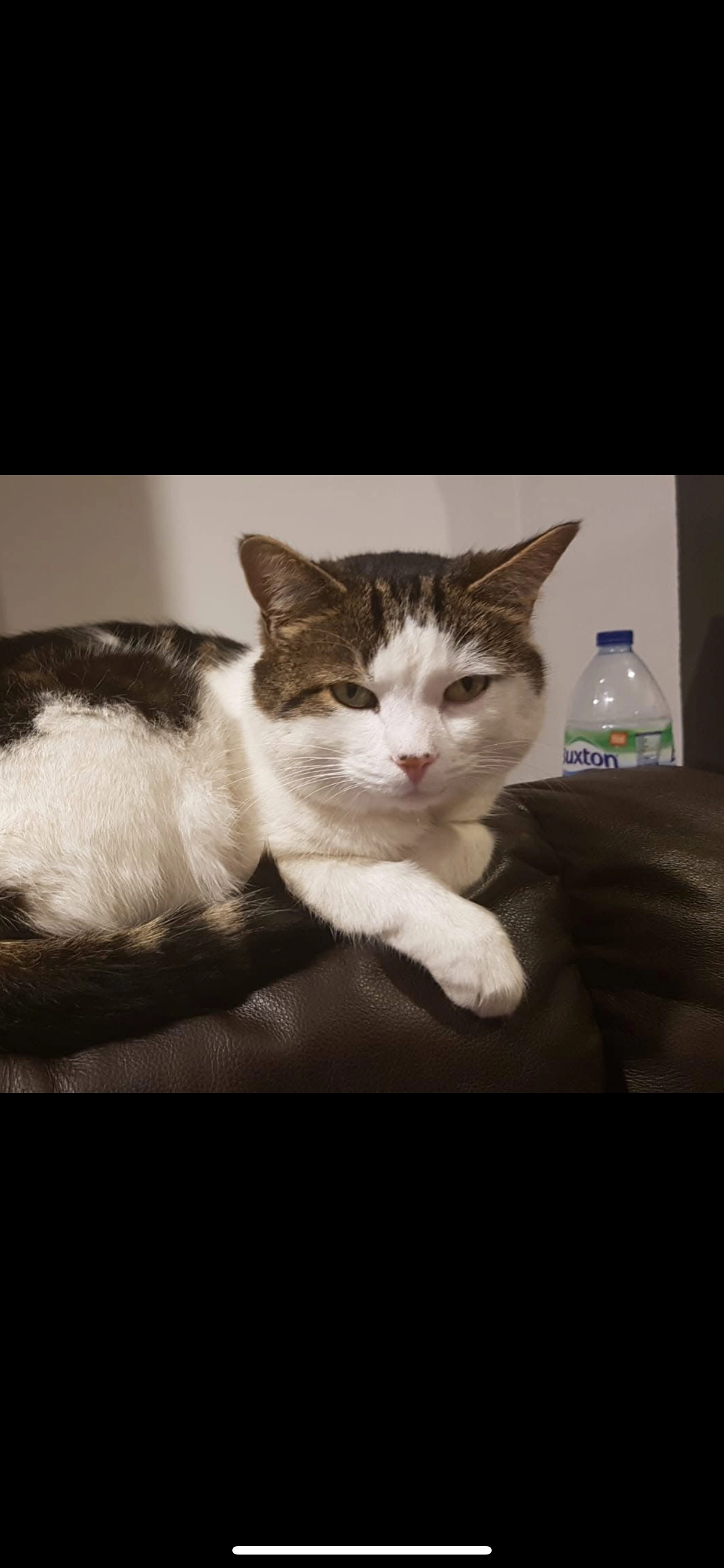 Bruce - Longfields Crescent, Barnsley