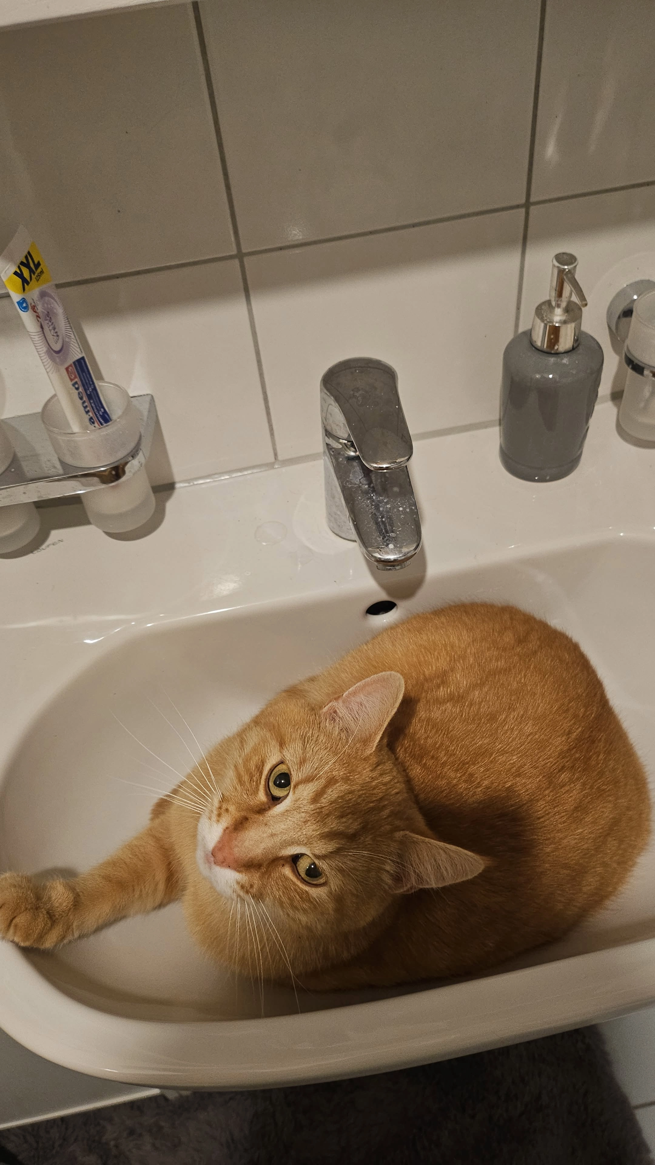 Johny - Kaiserstraße, Feldkirch