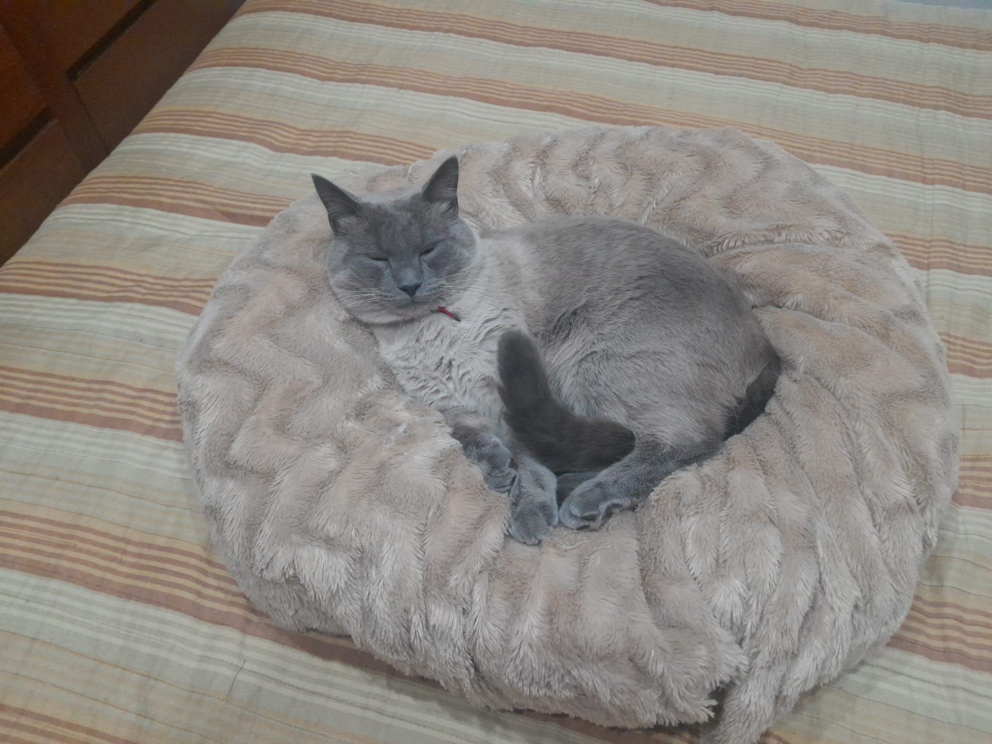 Kiko - Bairro da Boavista 22, Ermesinde